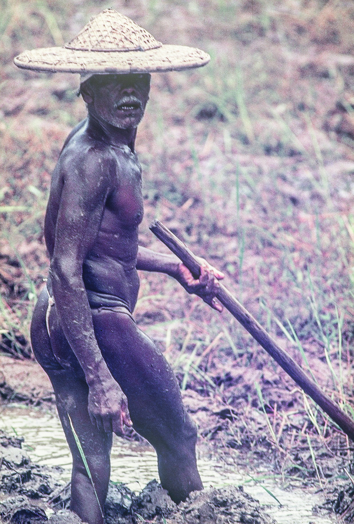 Farmer in Seri Lanka