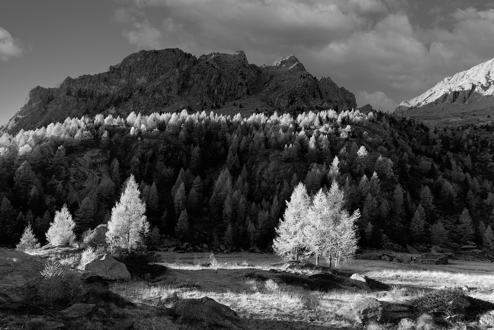 Shadows and lights in Predarossa