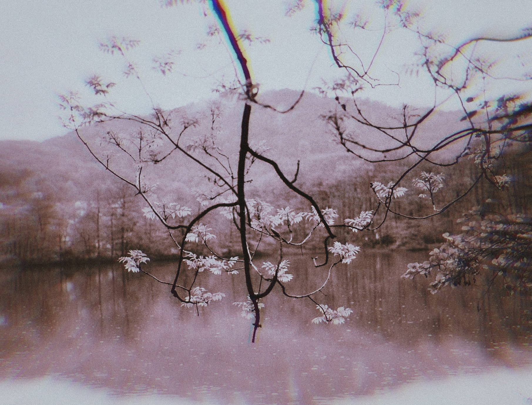 Delicate spring