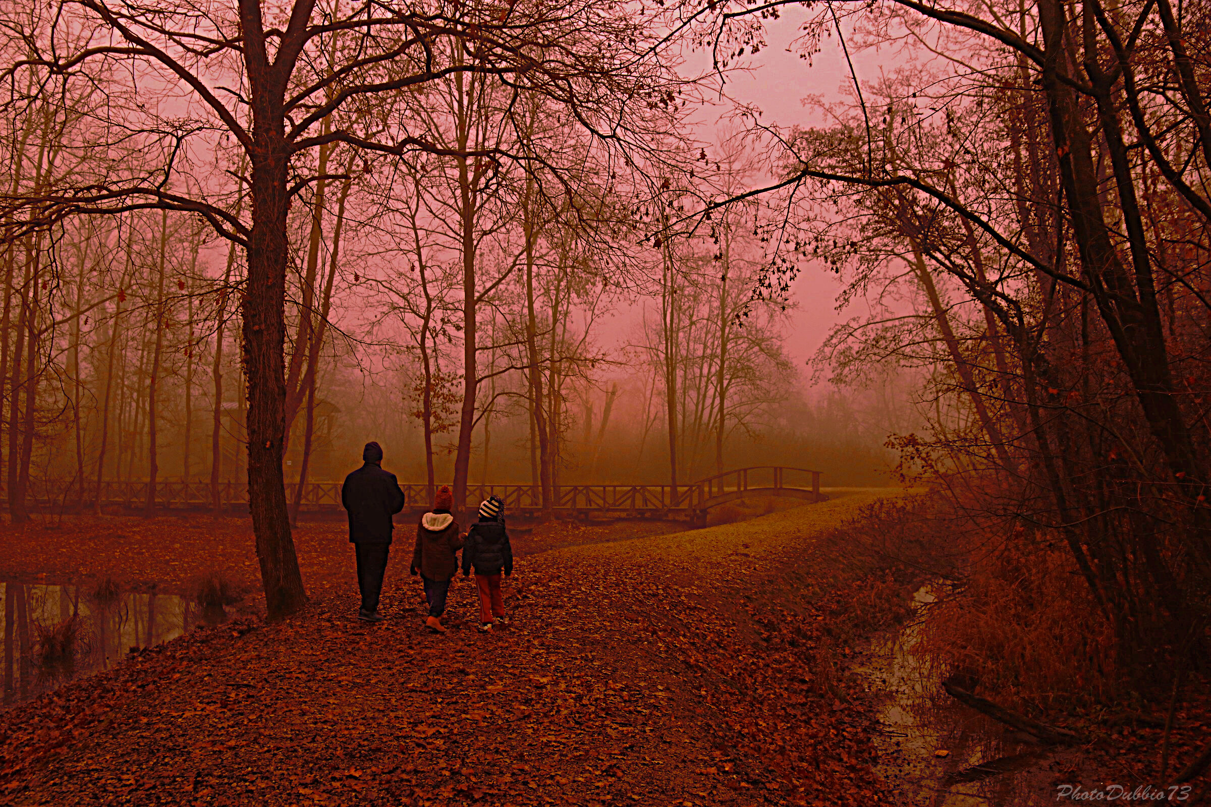 Old and new generation