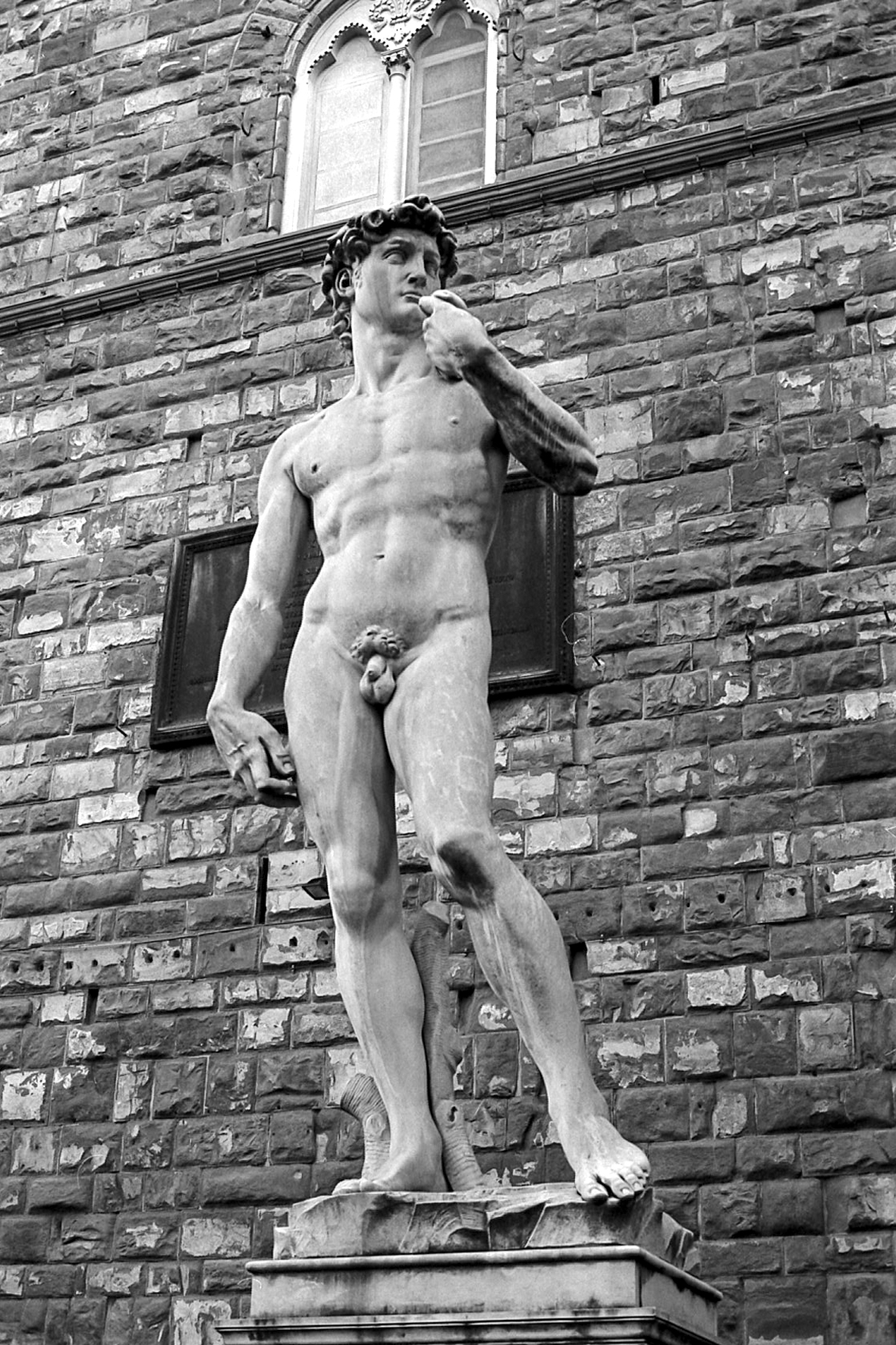 Florence, end of 2019 (the David)