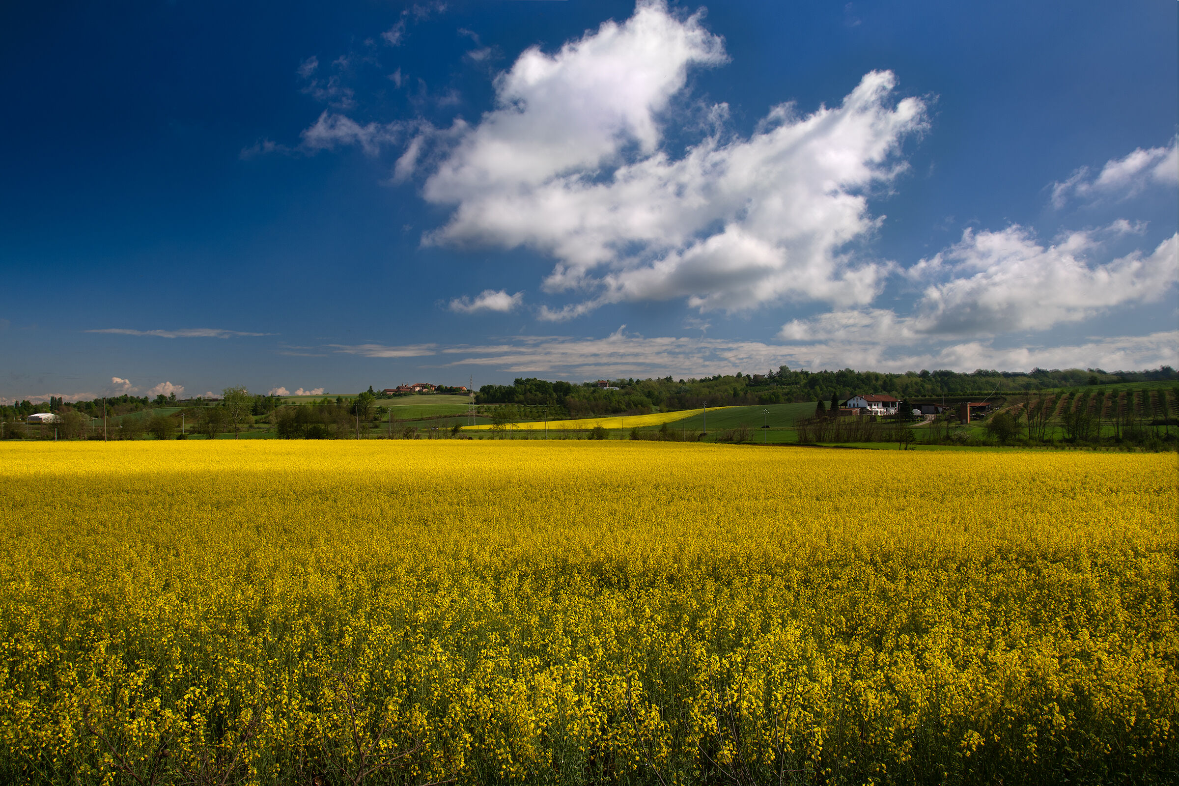 Spettacolo in giallo