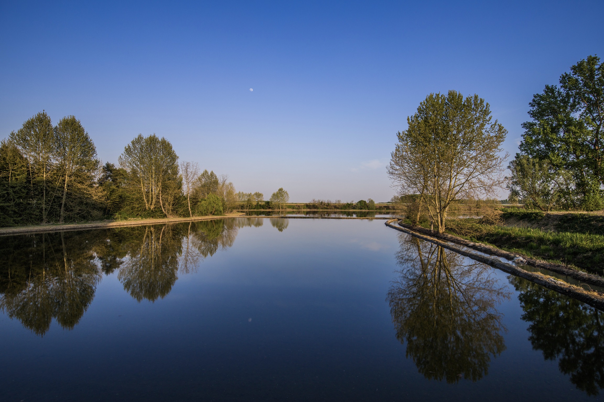 Cielo e acqua di risaia