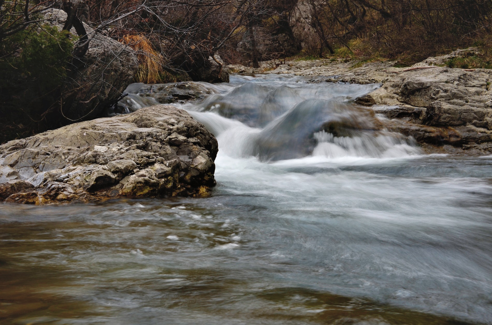 Regional Natural Reserve of the Val Rosandra