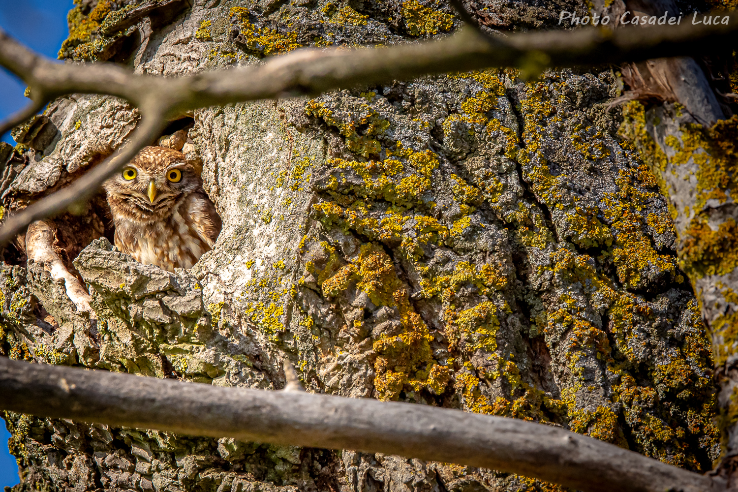 Good morning photographer