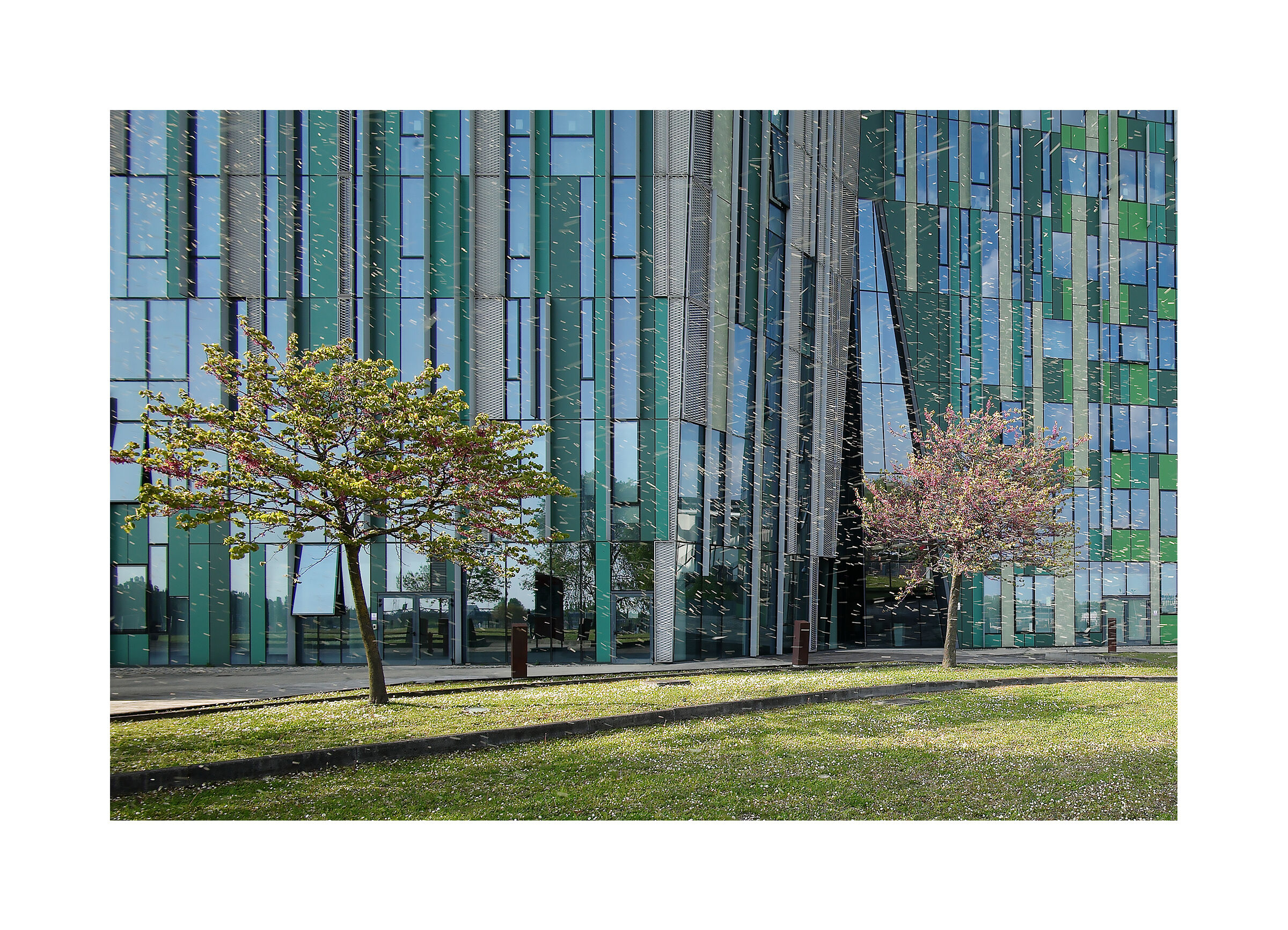 Aprile a Milanofiori