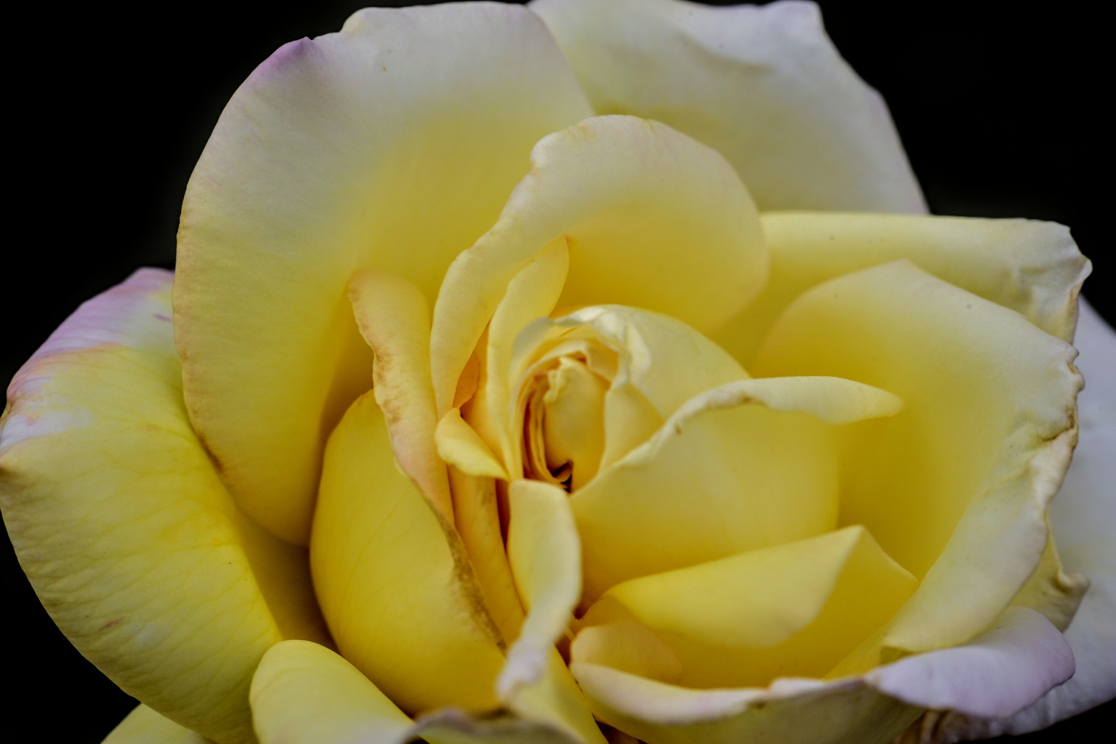 Untitled Photo