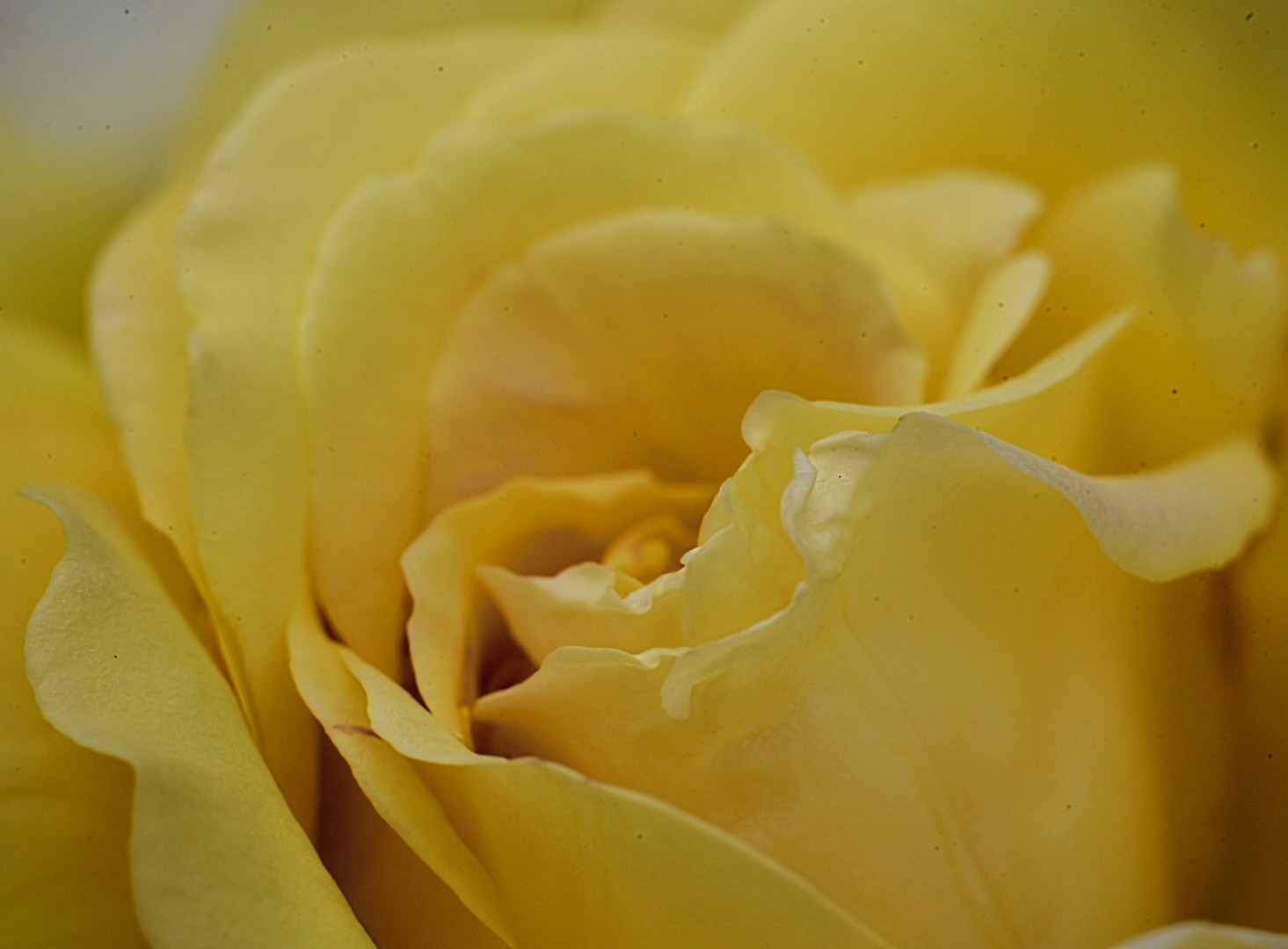 Untitled Photo