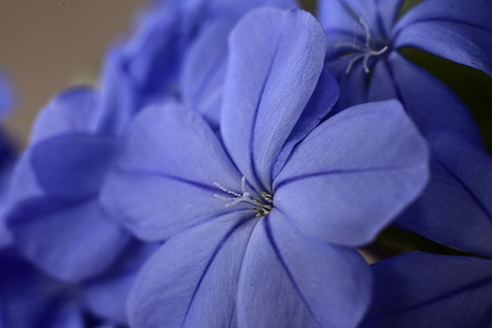 Untitled Photo