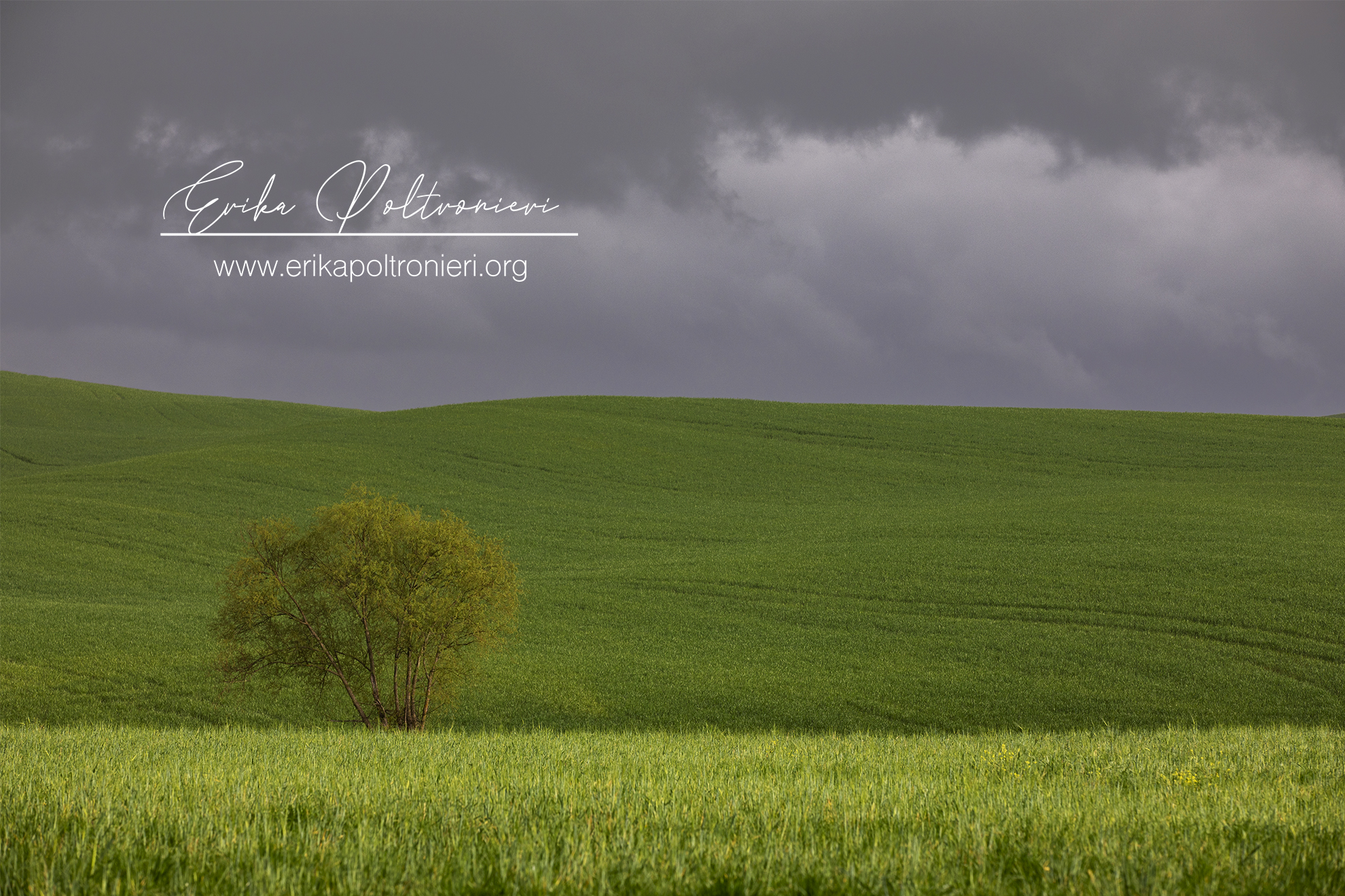 Tuscany minimalism
