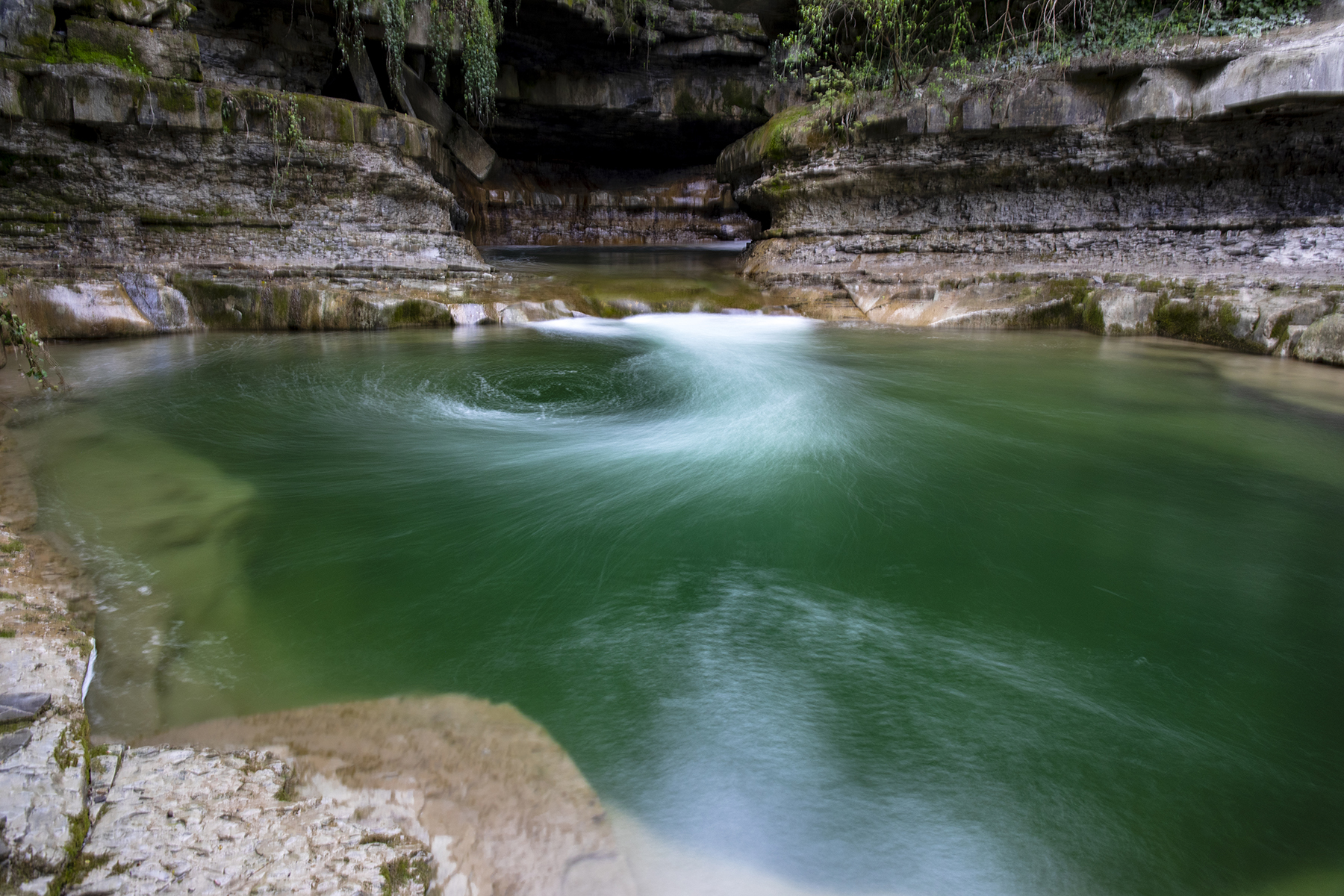 deep green at Premilcuore