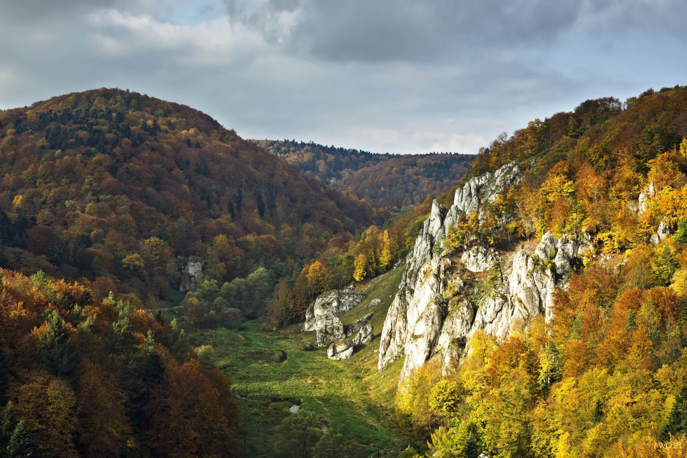 Parco Nazionale di Ojcow vista da un sentiero
