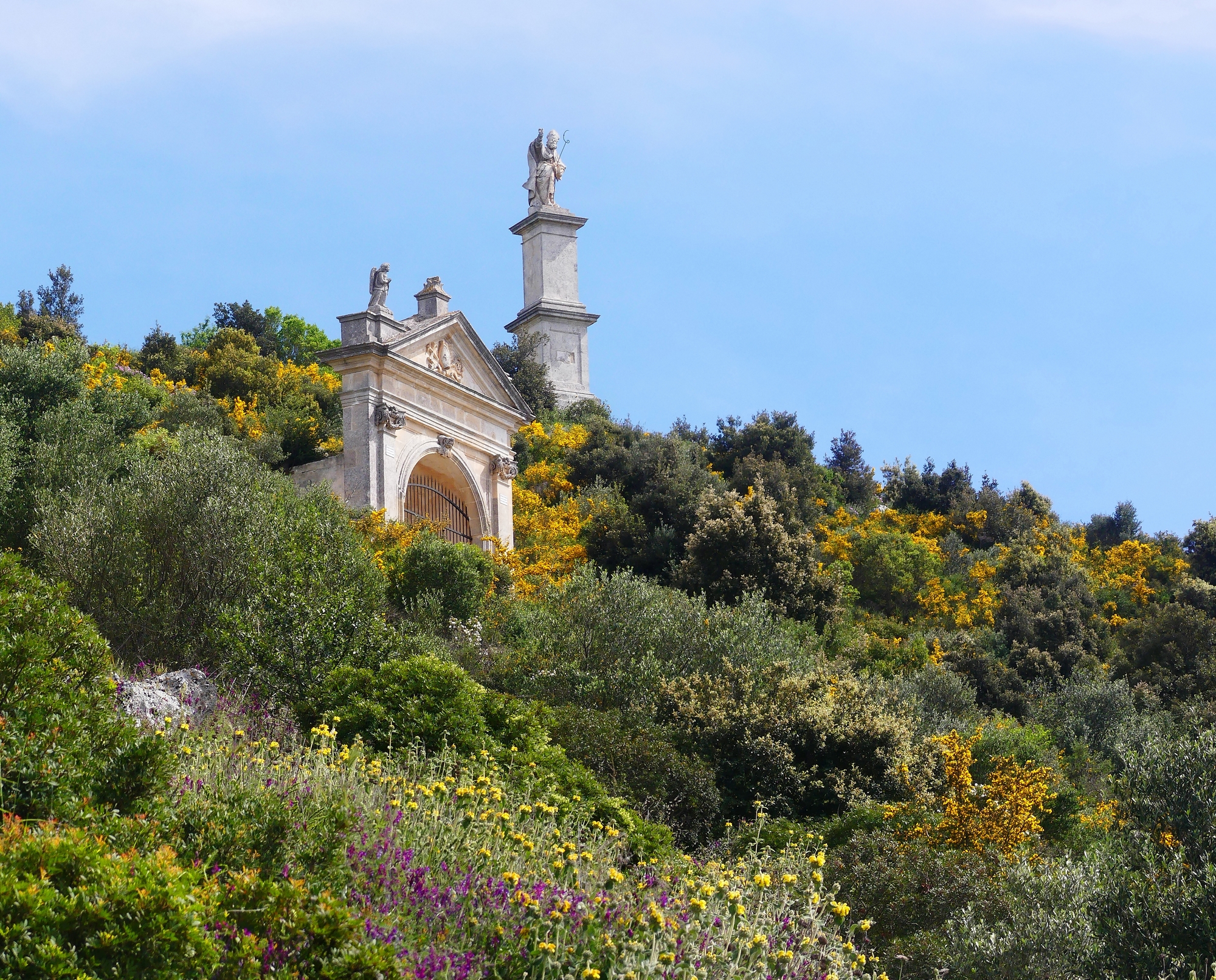 the garden of the Mediterranean maquis