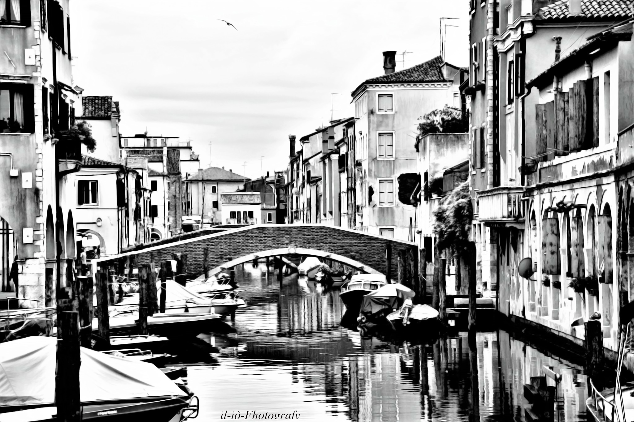 Untitled Photo