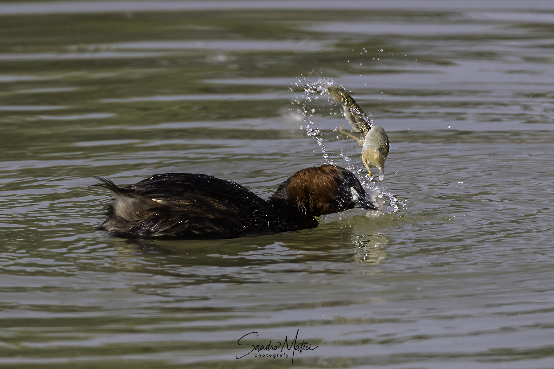 giocare prima di mangiare