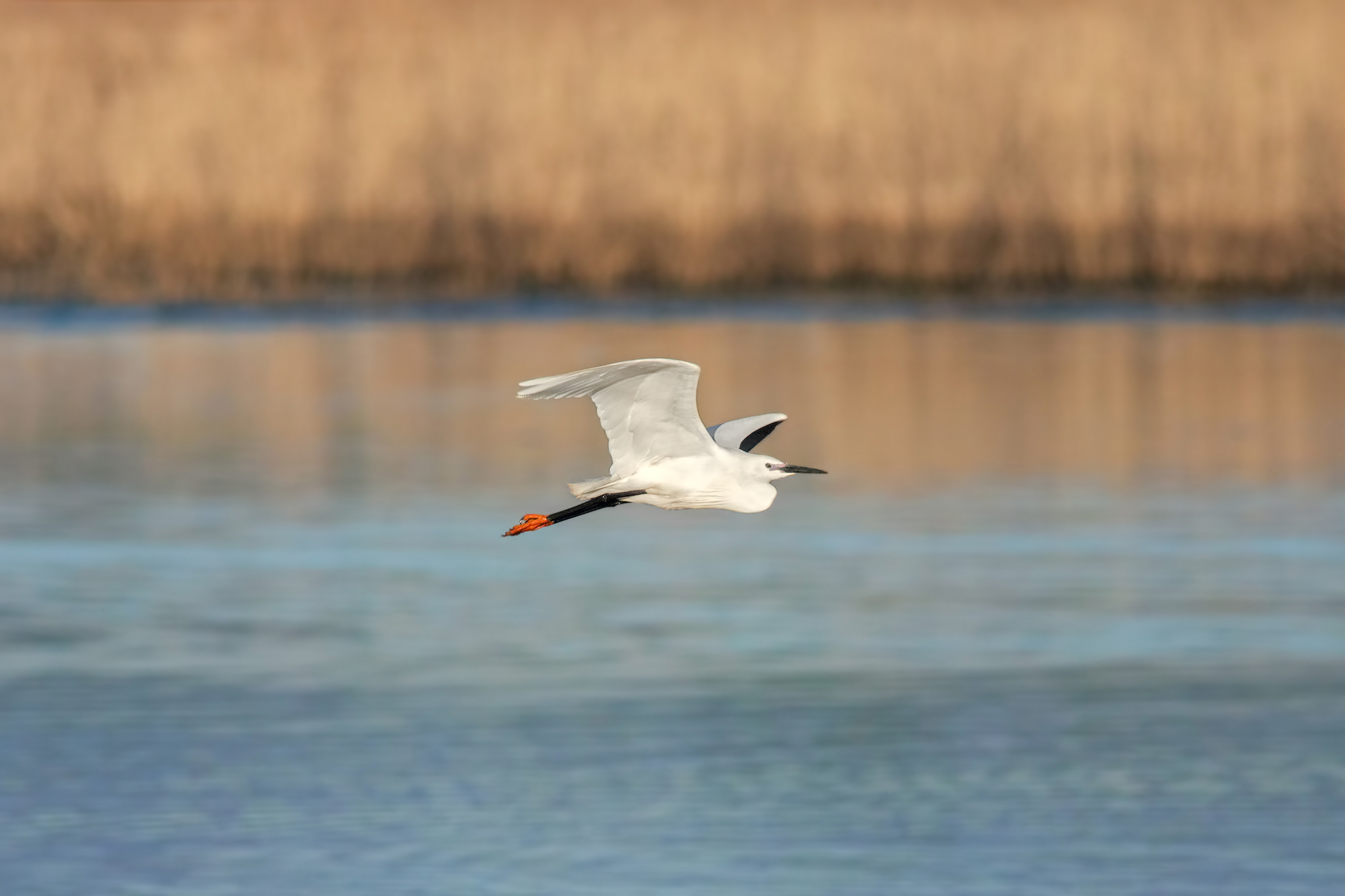 Flying over