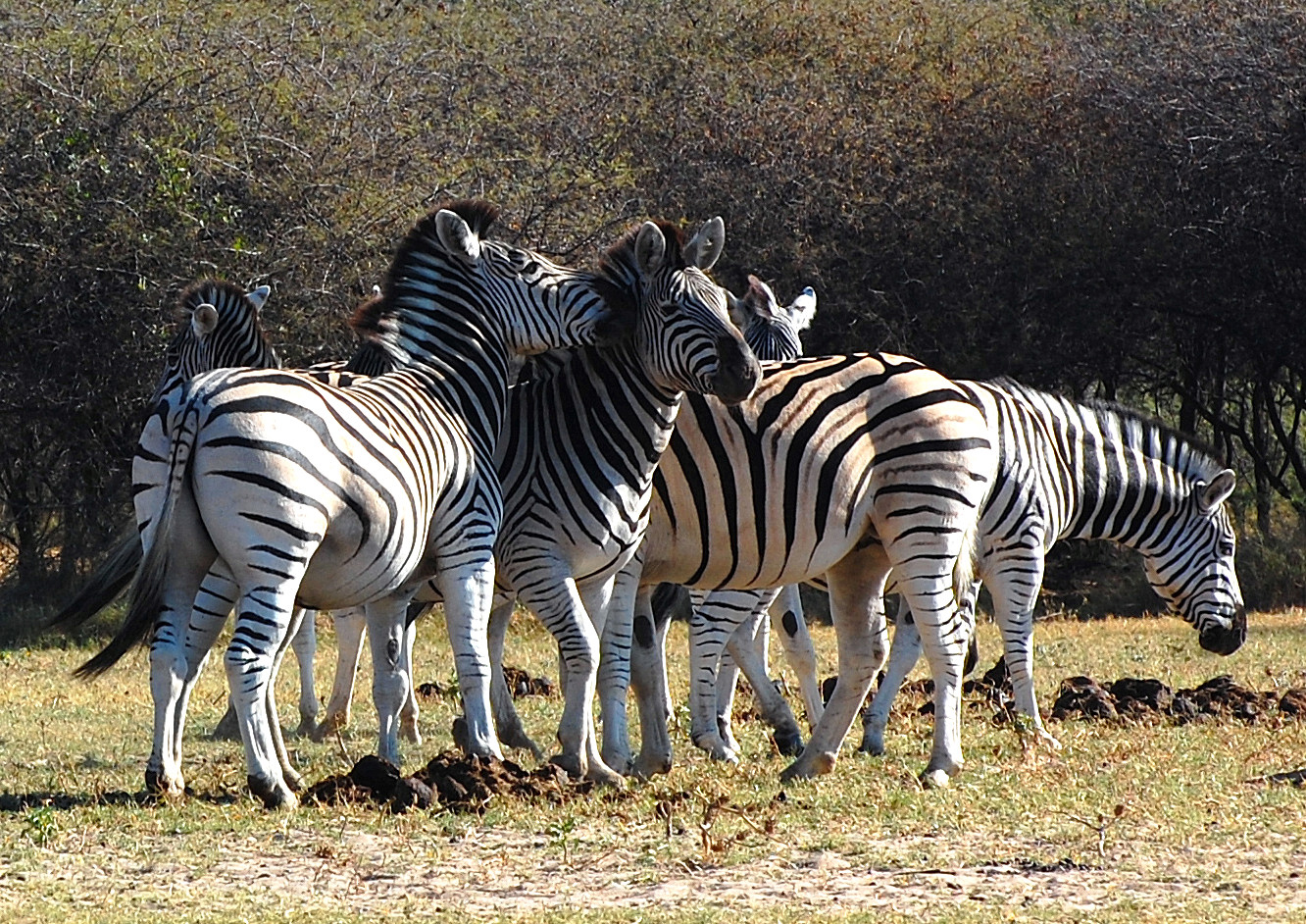 Shut up and stop that they're photographing us