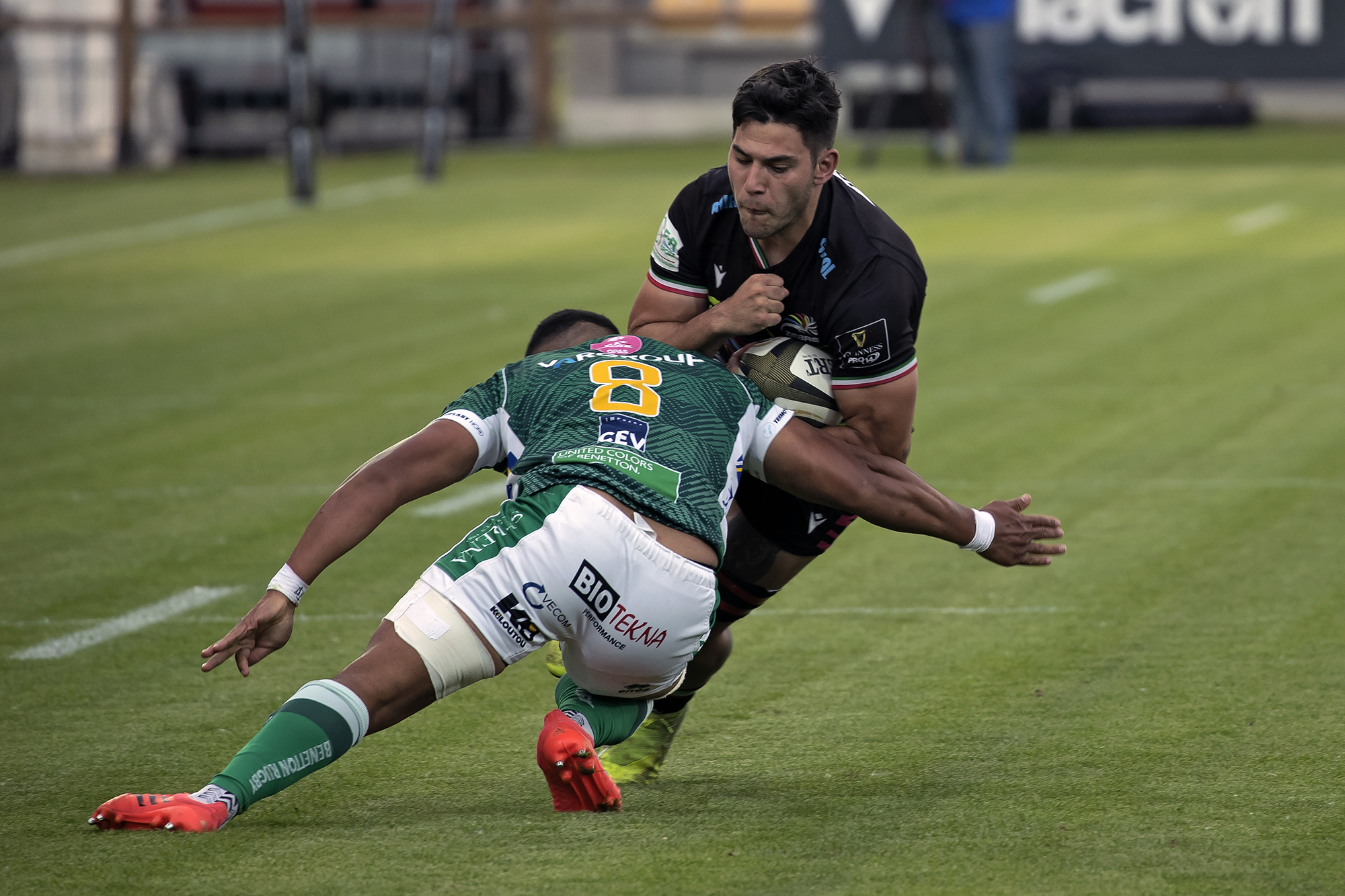 Guiness Pro14 - Rainbow Cup