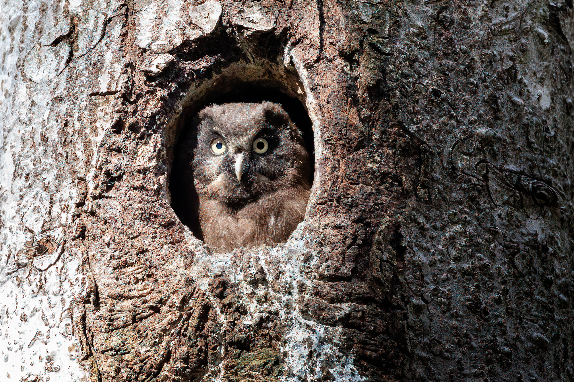 The first glances at the world from the window of "home"