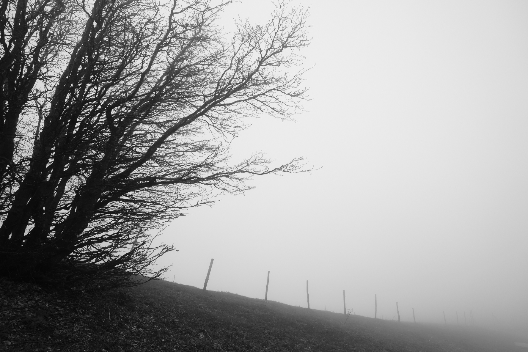 Untitled Photo