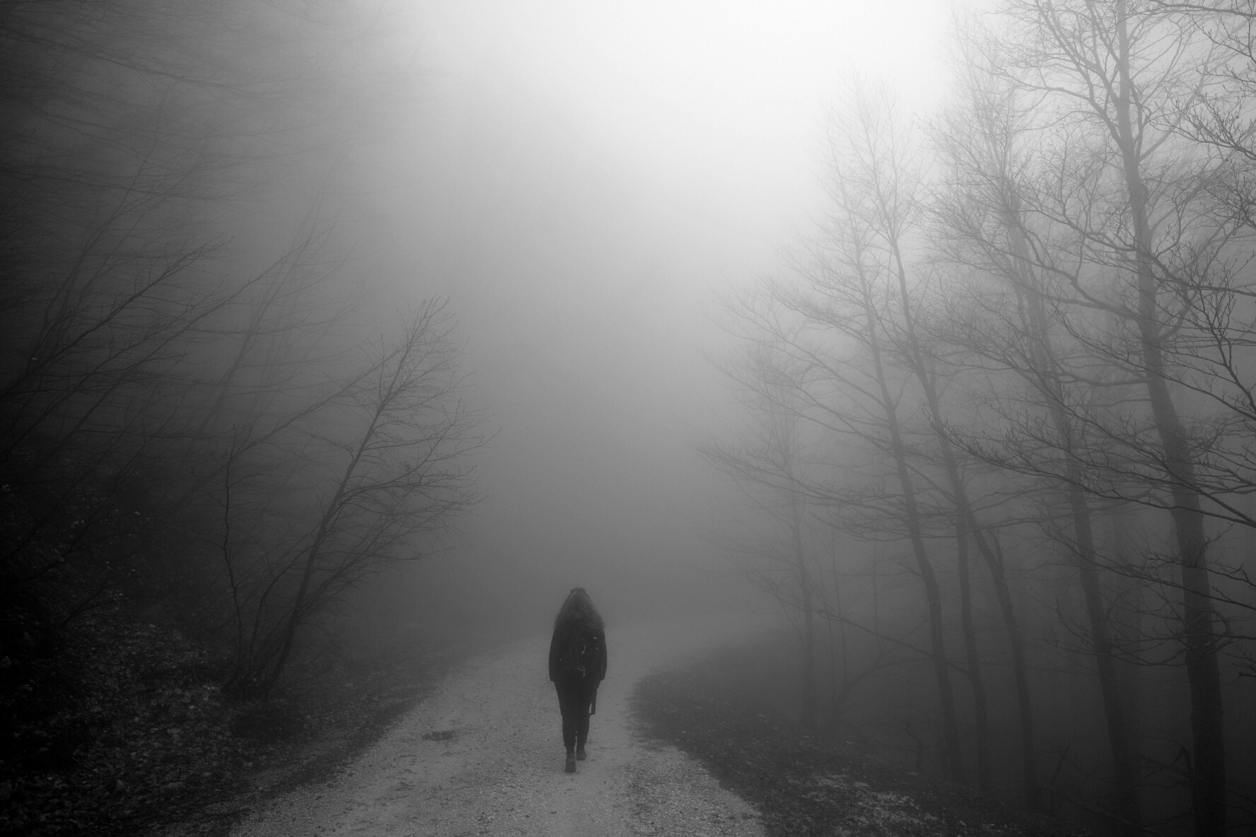 Untitled Photo
