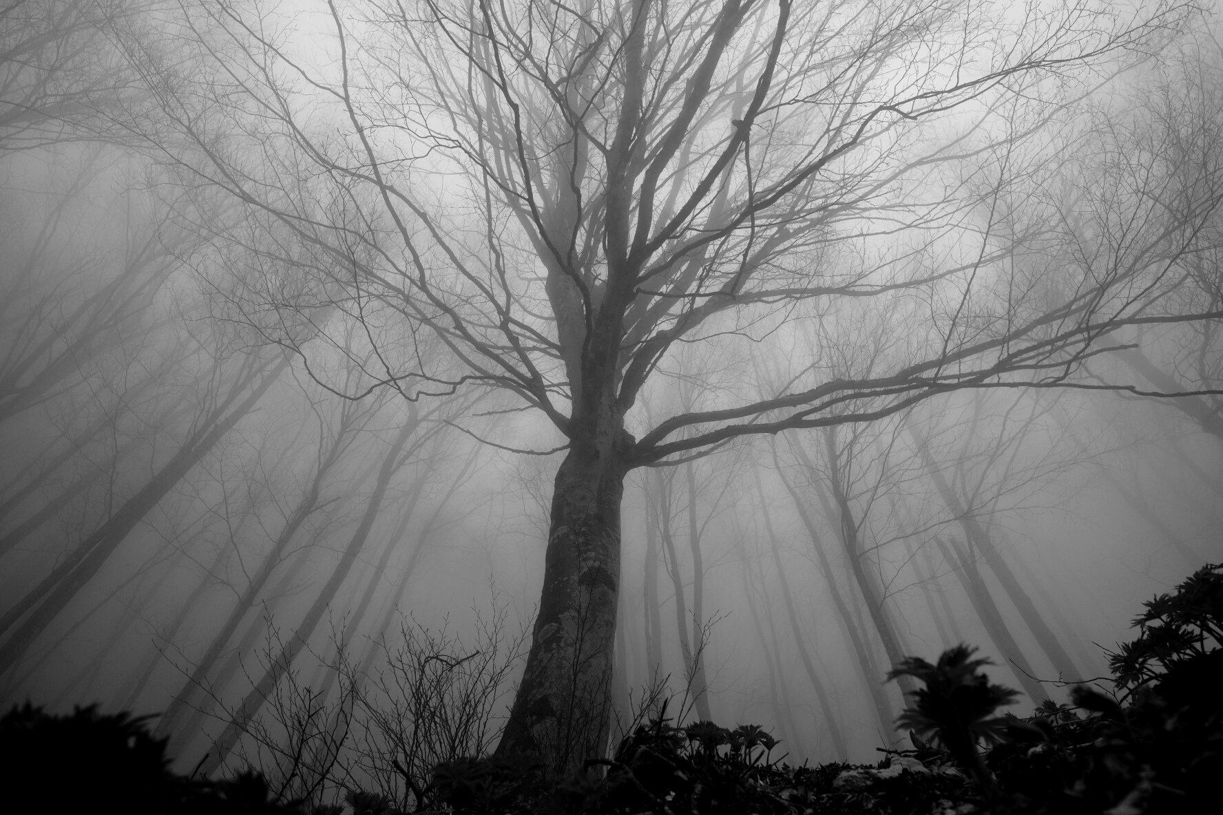 Untitled Photo