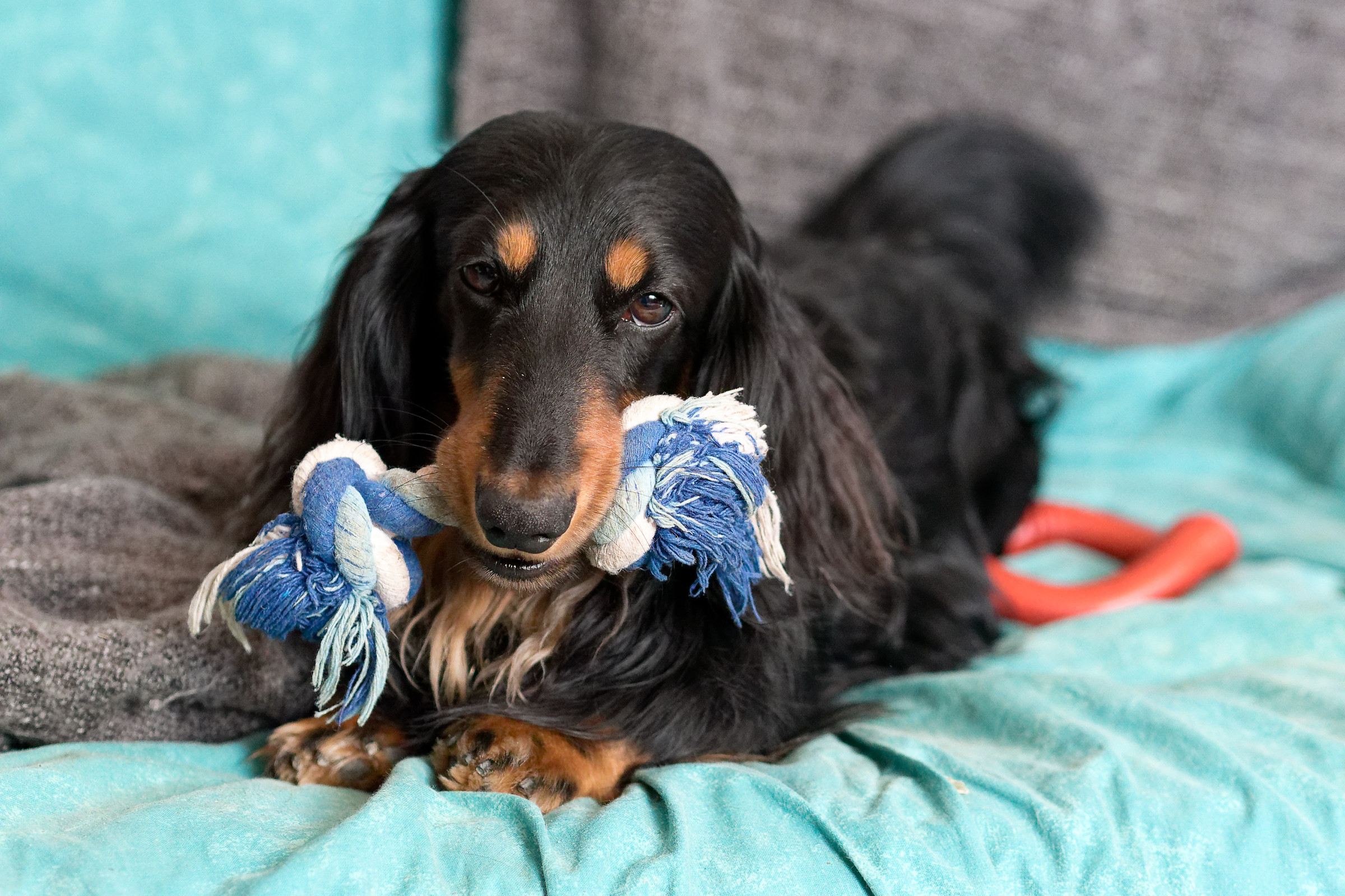 Sam and the Little Game