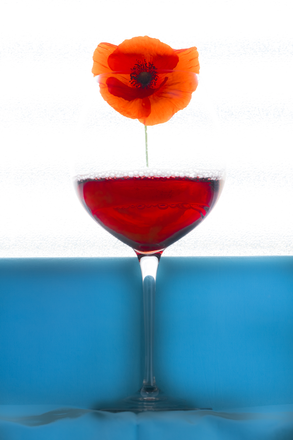 POPPIES ALSO LIKE WINE