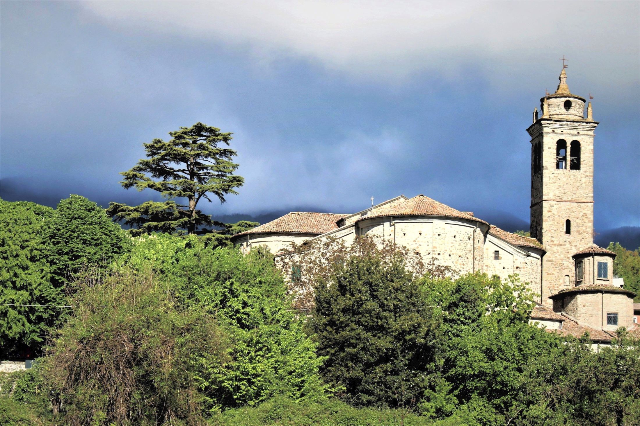 L'albero e il campanile