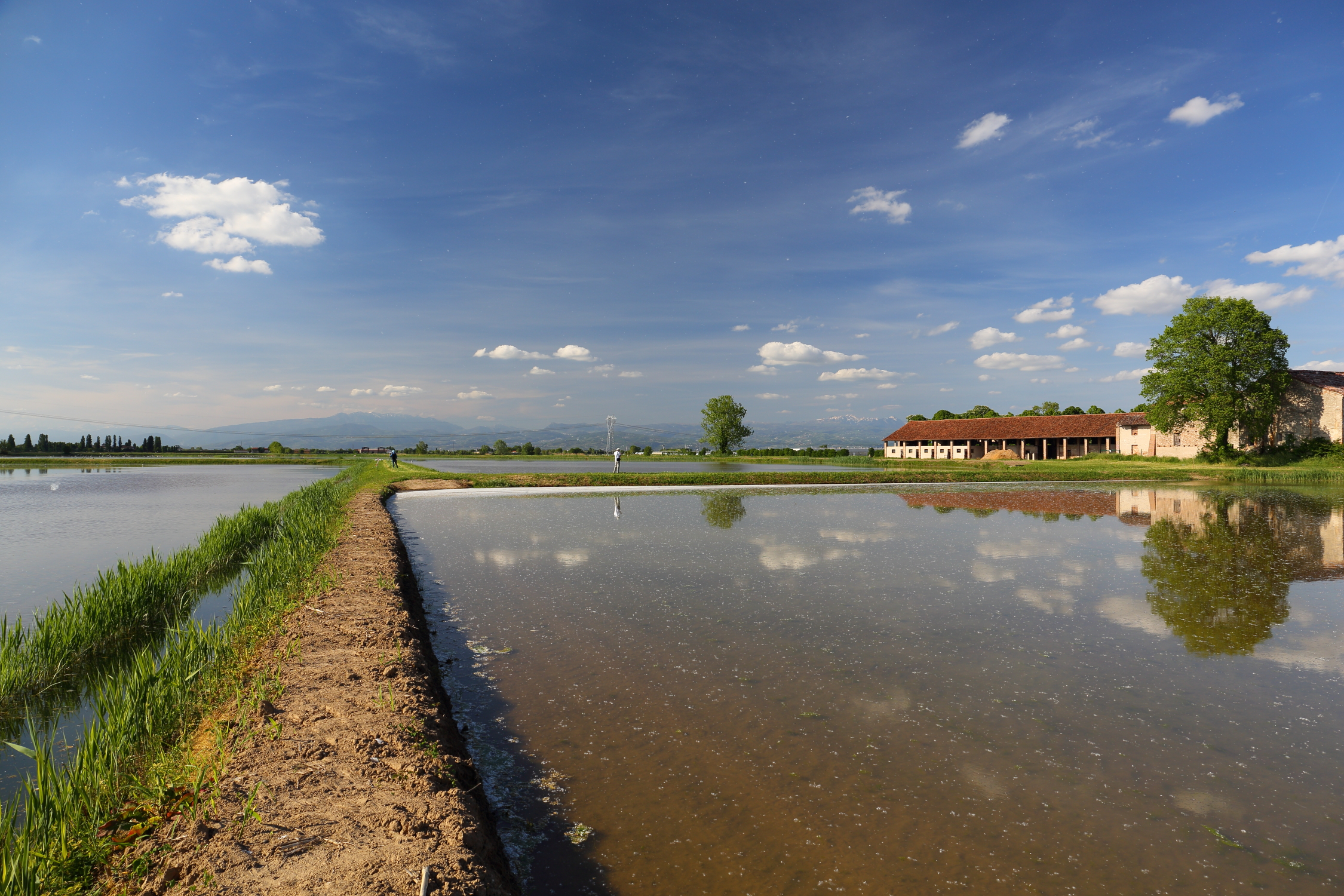 Paths and reflections