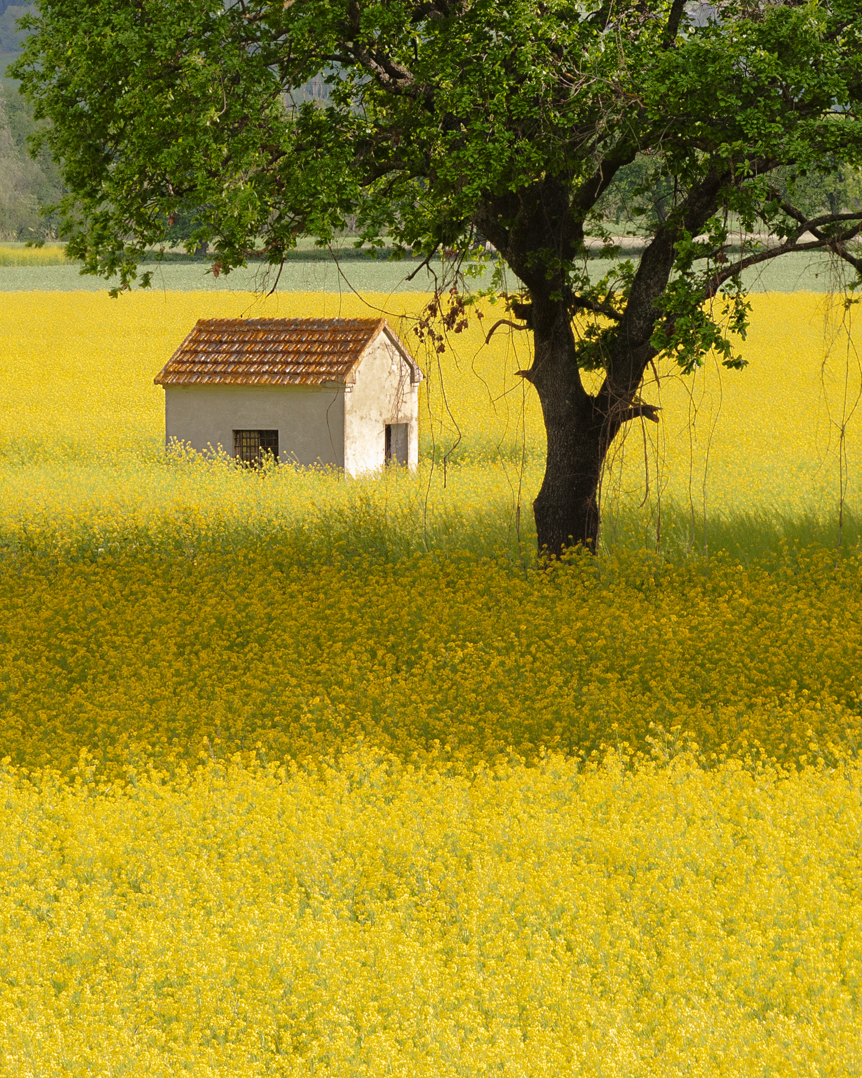 C'è una casetta piccola così....