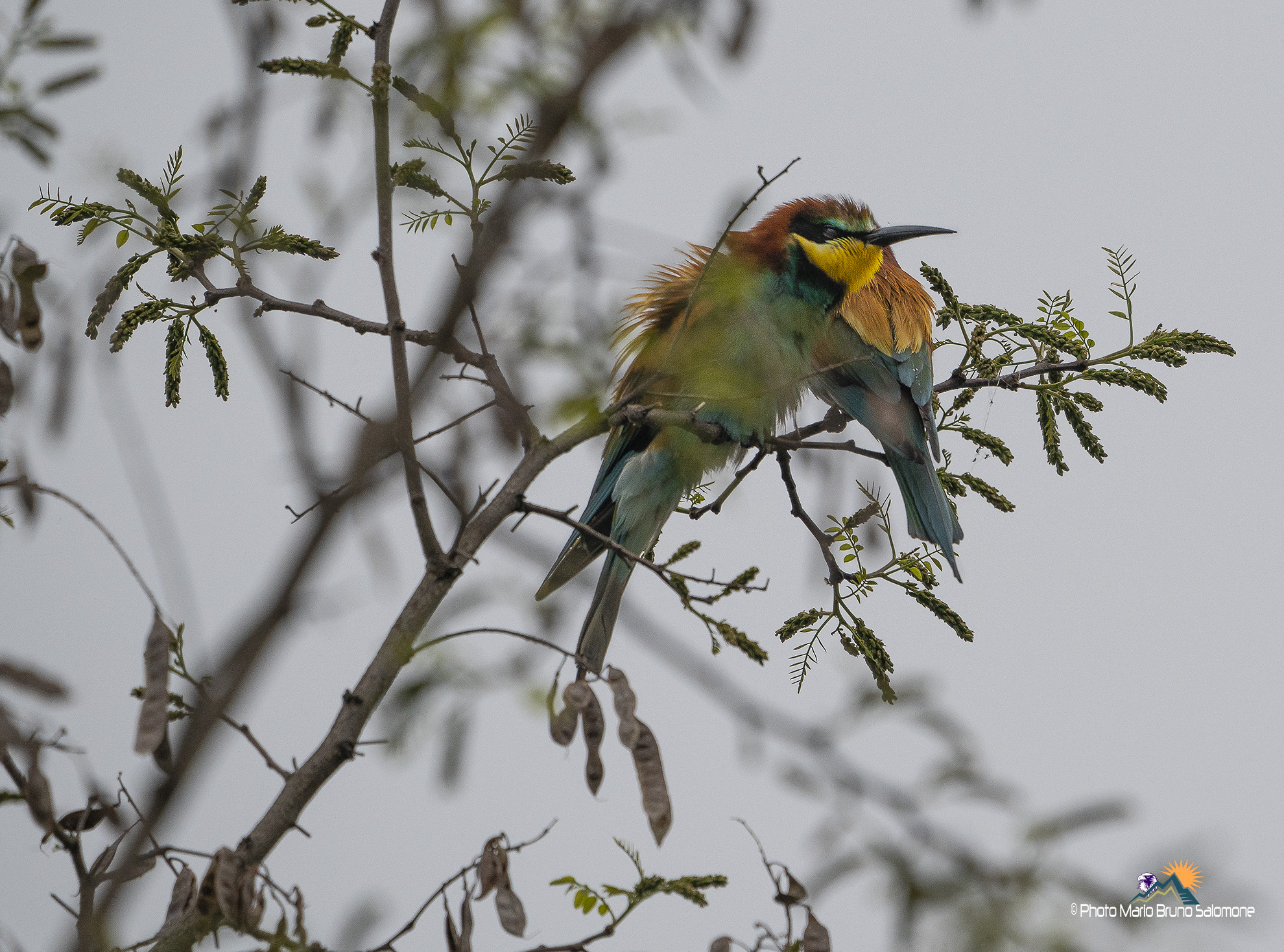 Vicini vicini sotto la pioggia