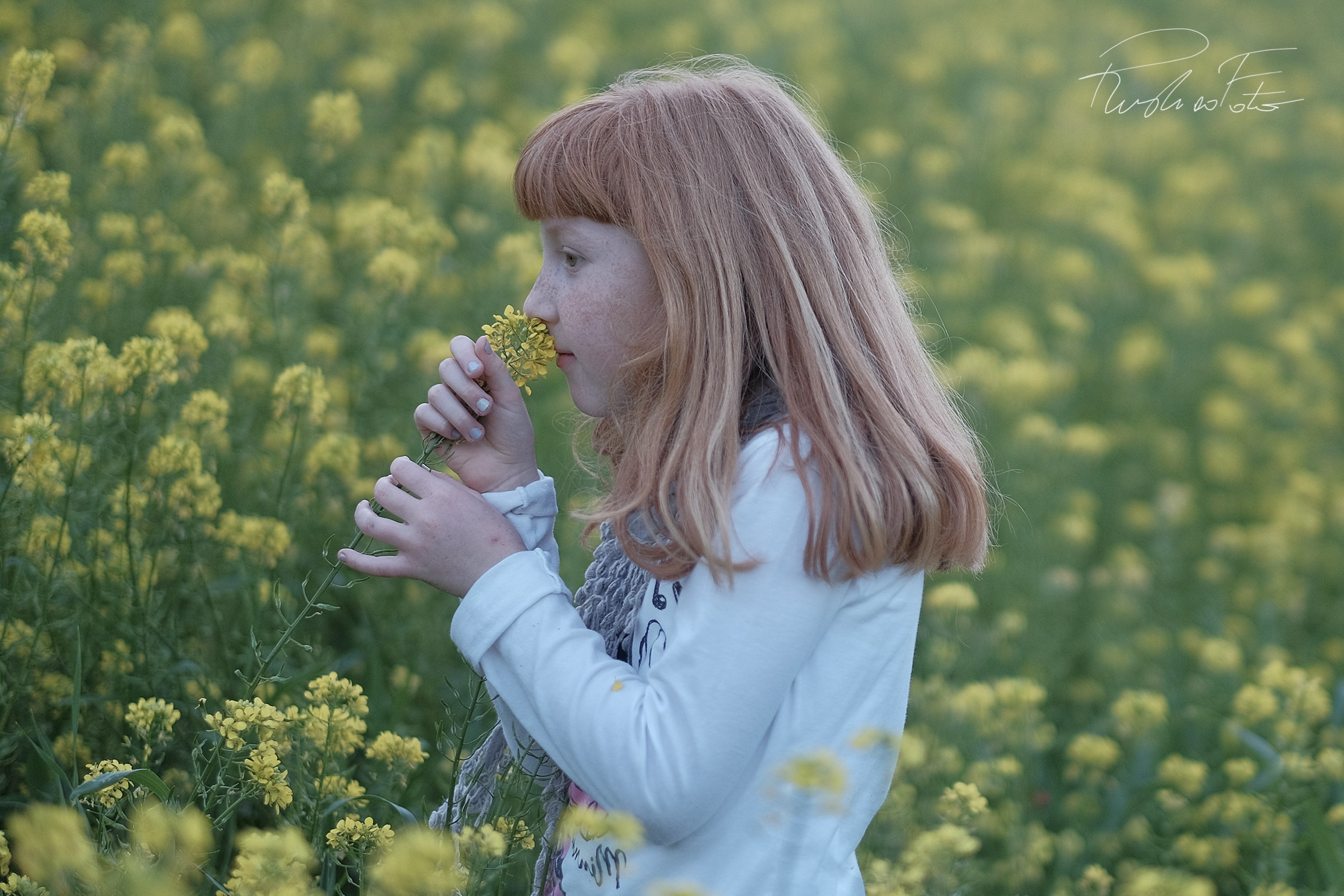 Yellow.....