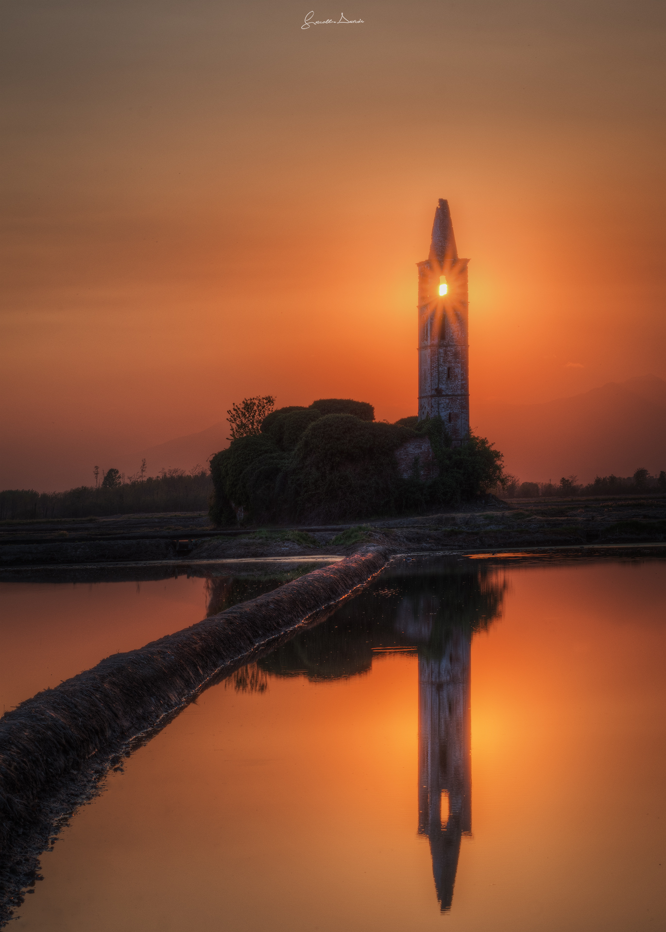 Il faro della risaia