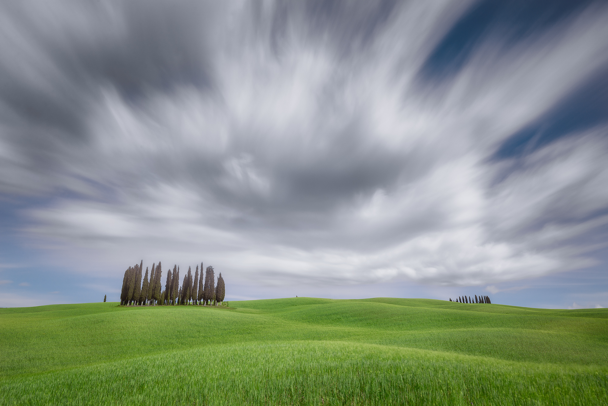 I cipressi di San Quirico