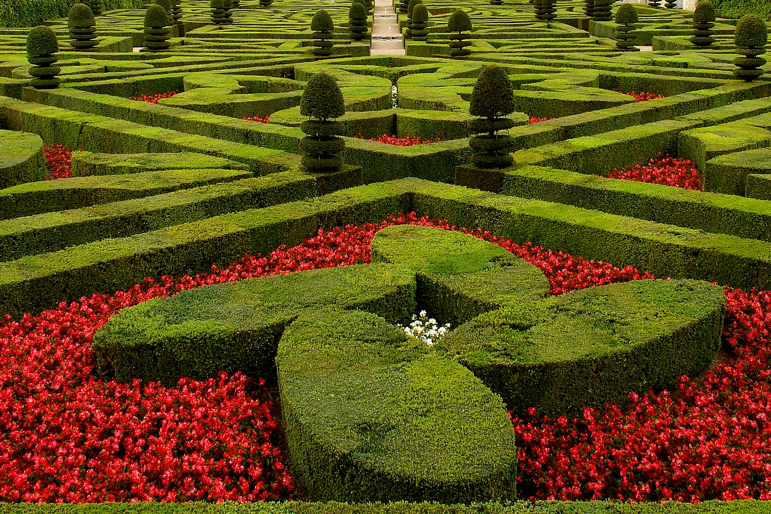 Jardin d'Ornement de Villandry