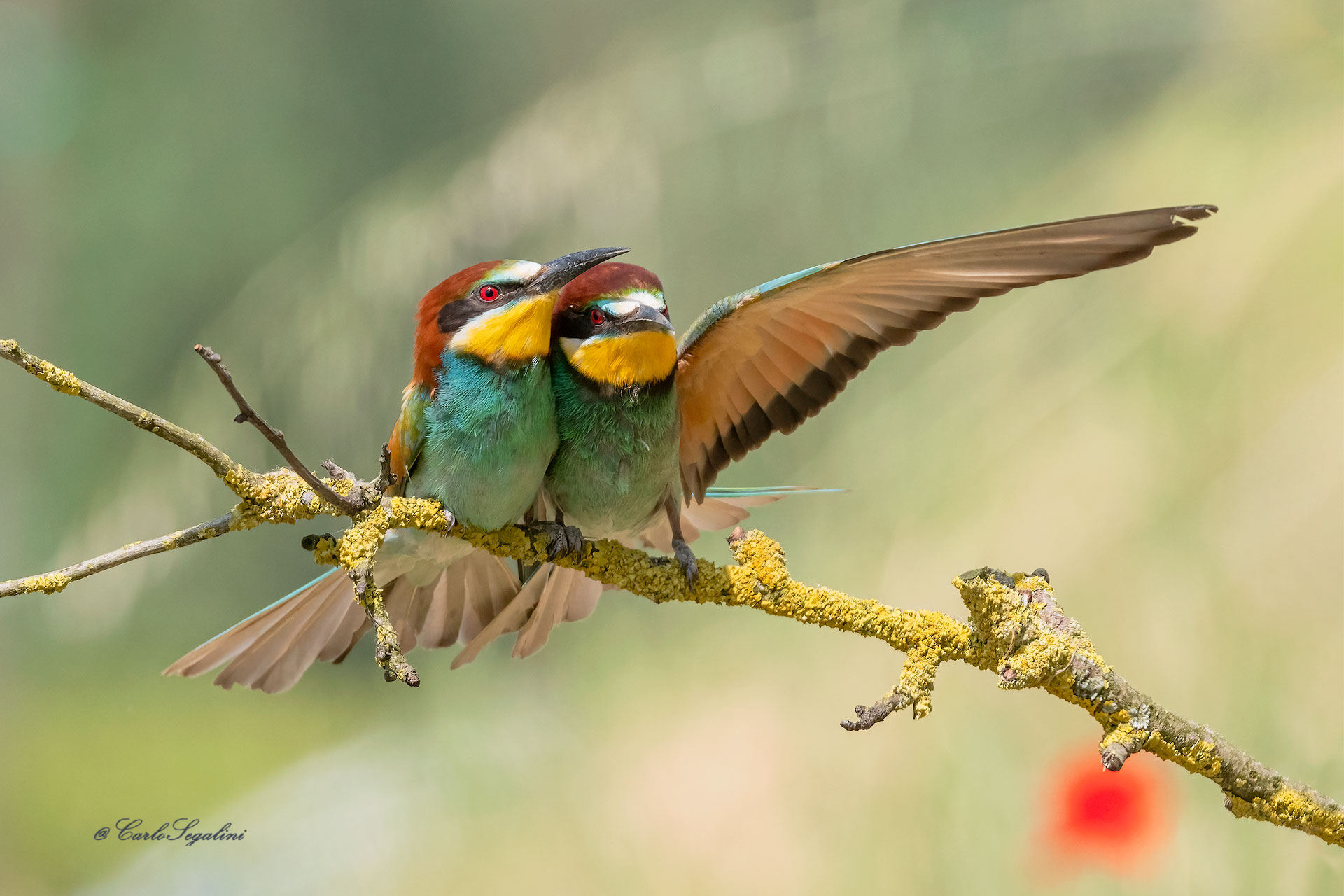 Da quella parte..!!!