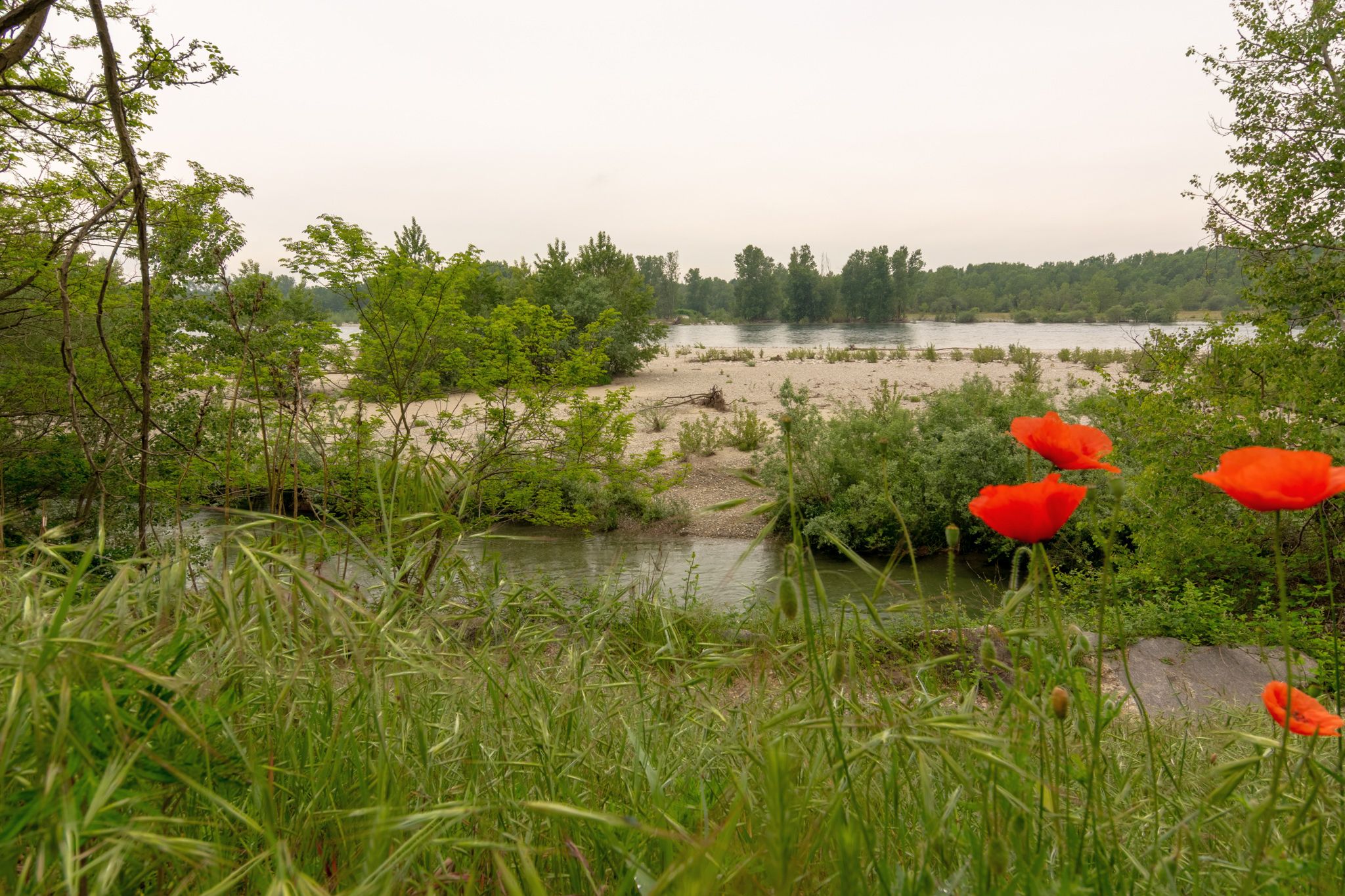 Il Fiume