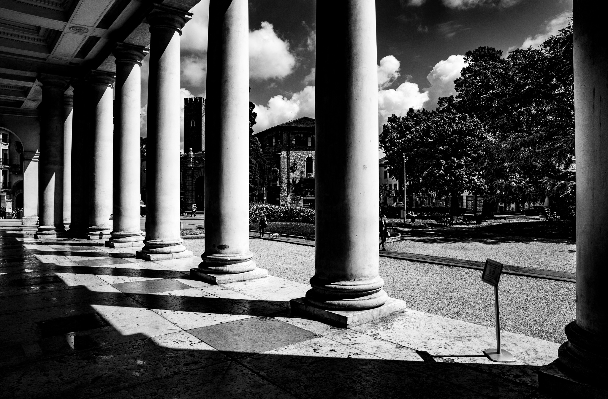 contrasti palladiani