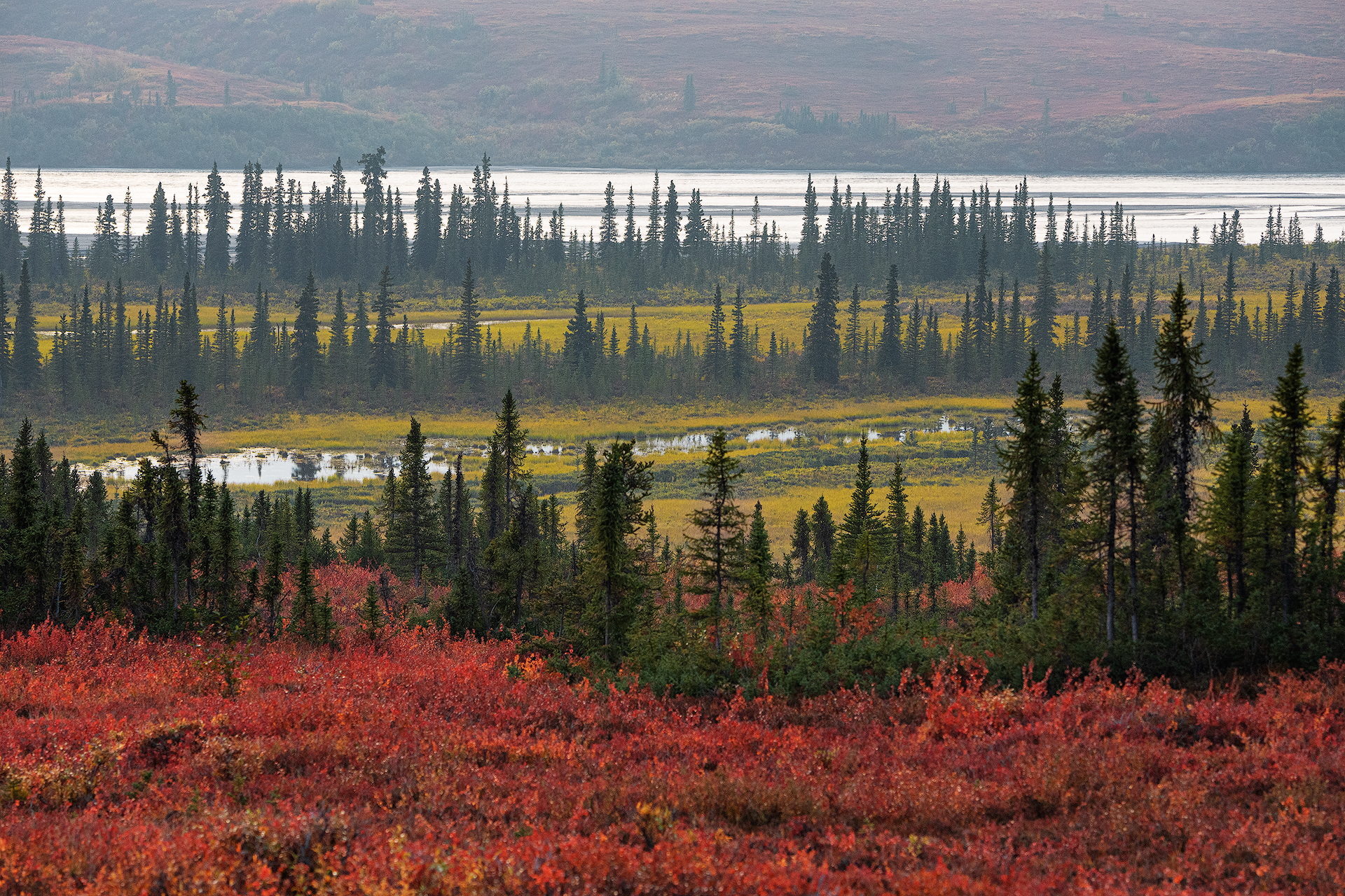 Susitna river -Alaska