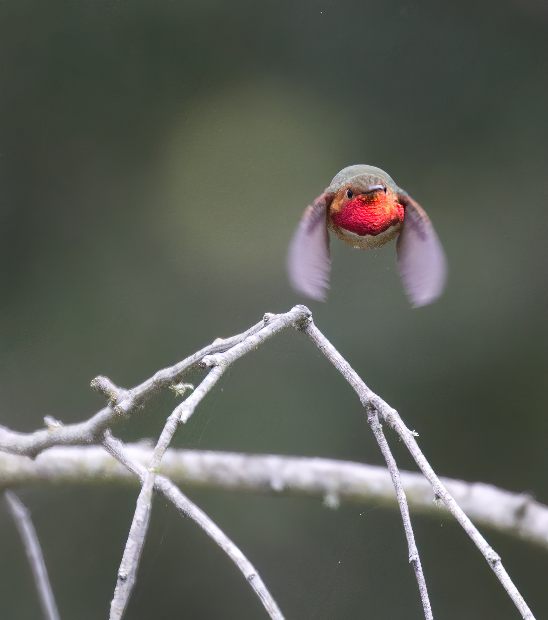 anche 1/3200 a volte non è sufficiente