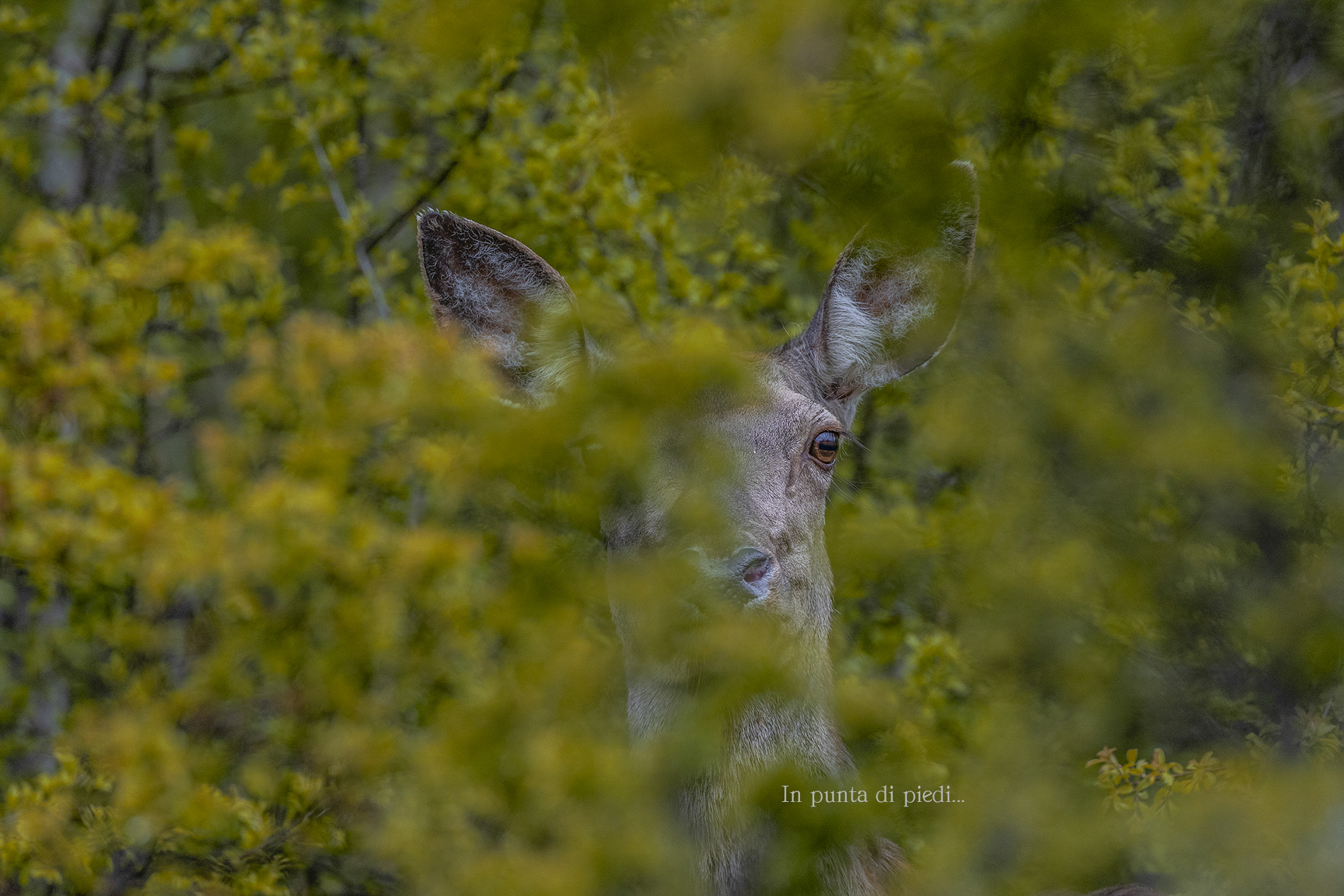 All we have is a Heart...