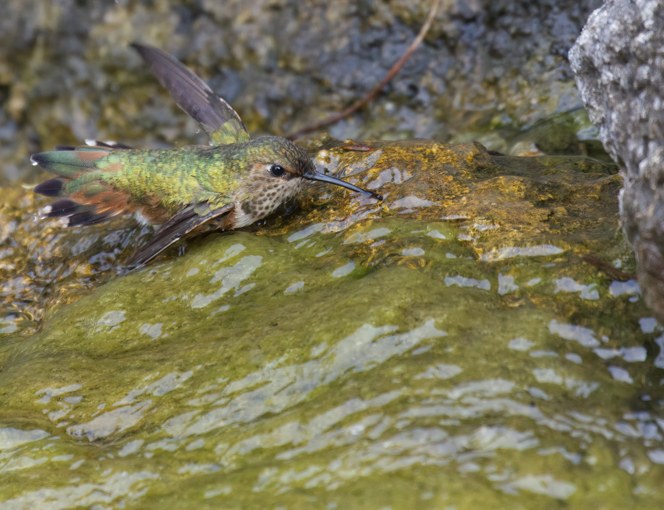 Atterraggio-successo dell'acqua, rifornimento...