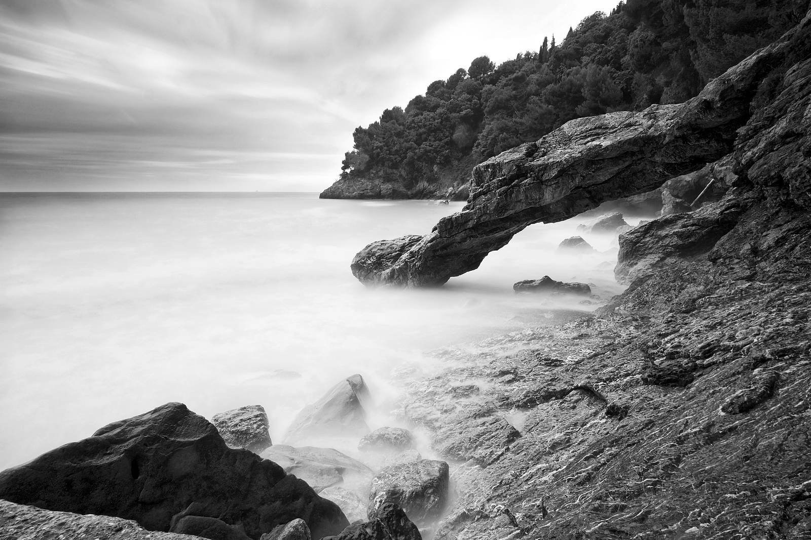 Echo of the Sea
