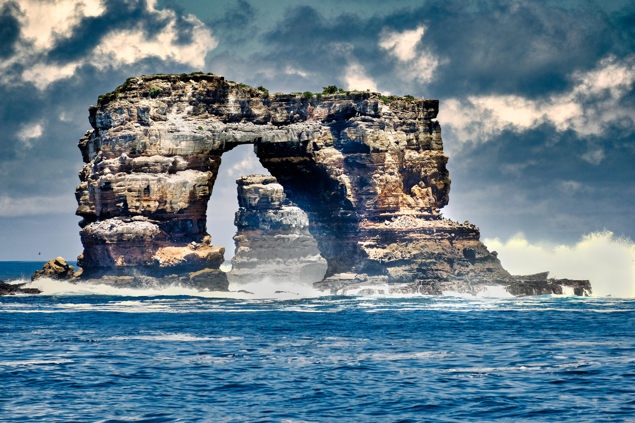 Darwin's Arch