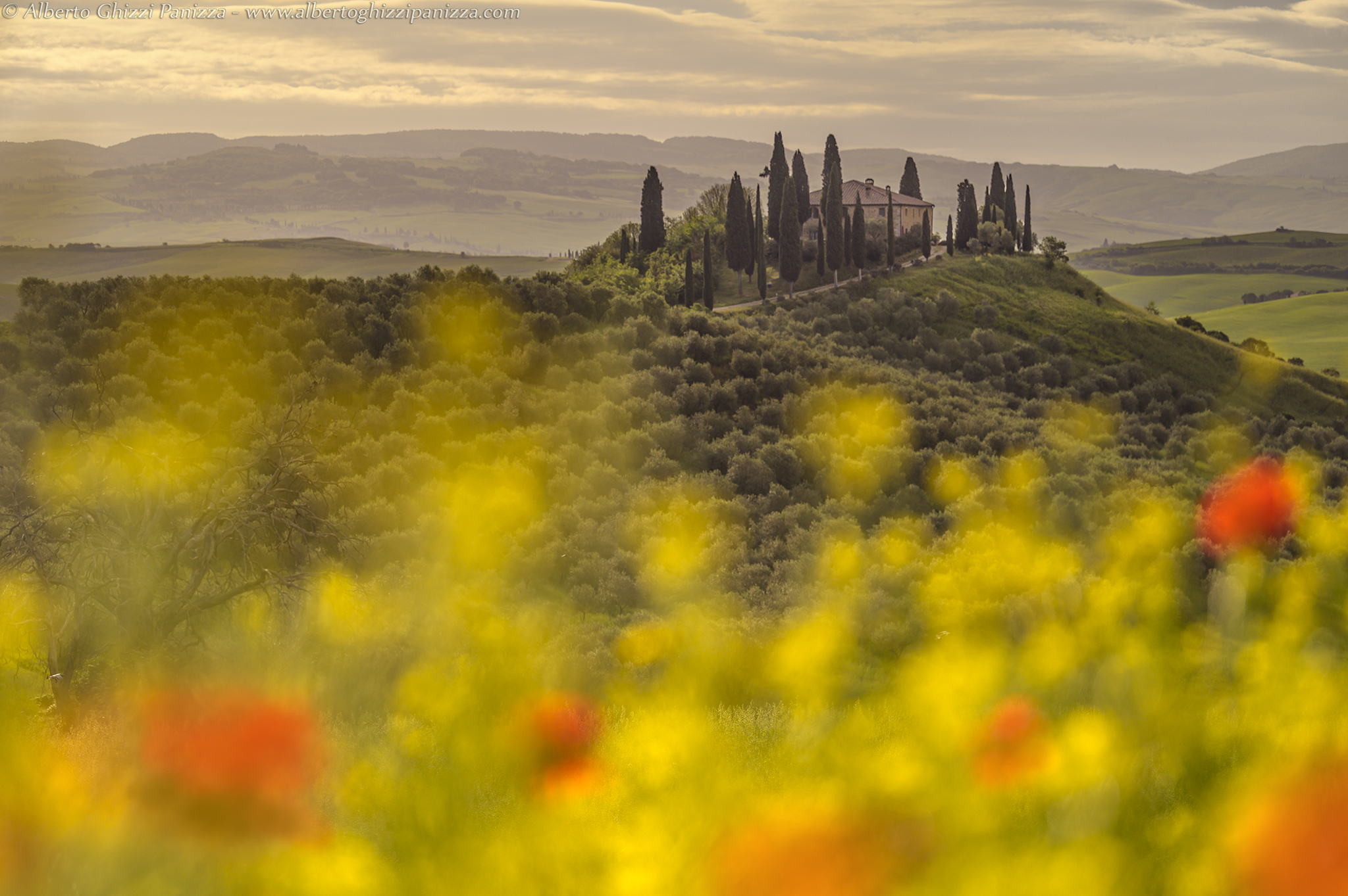 Il belvedere tra colza e papaveri