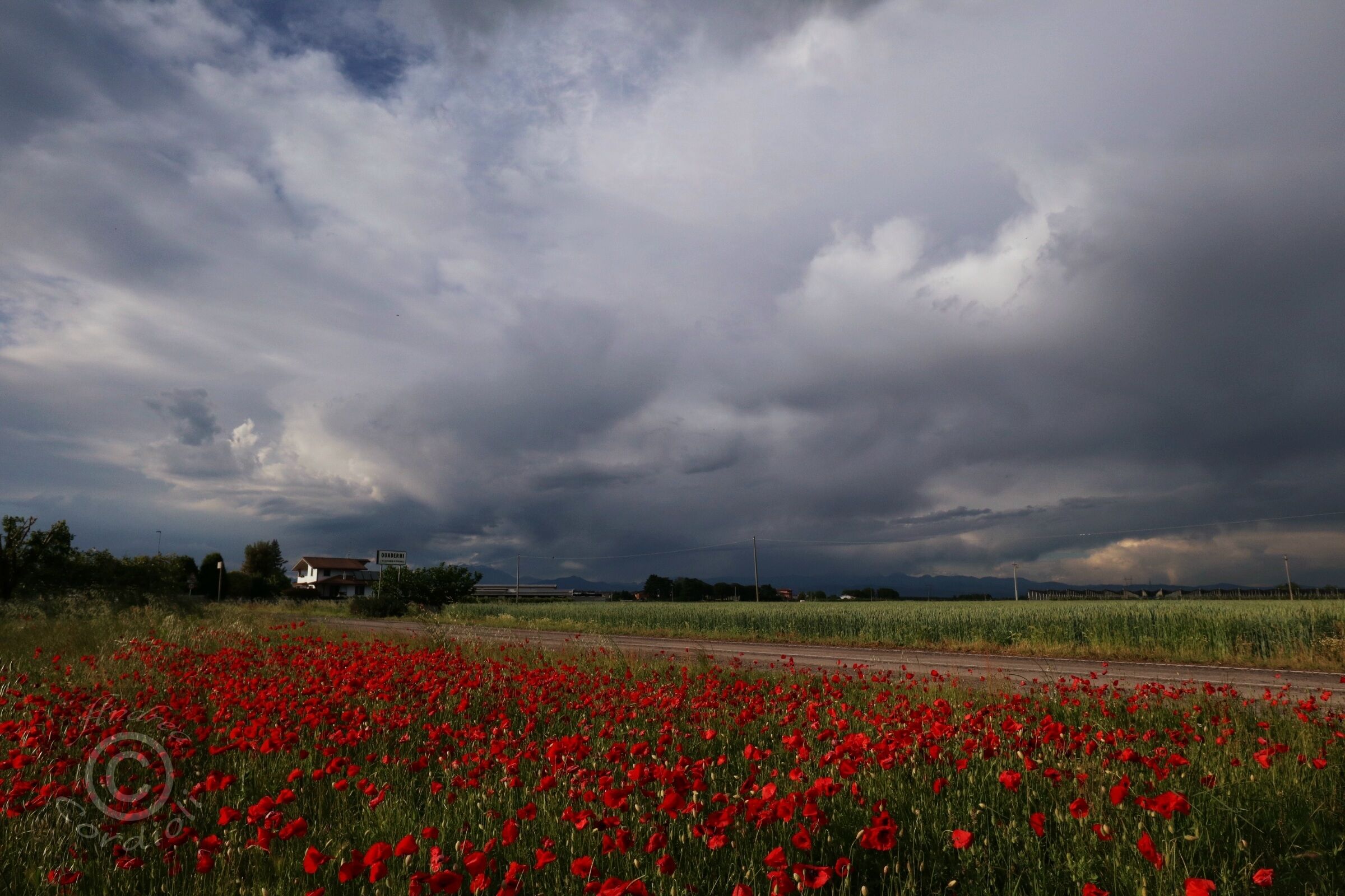 before the storm