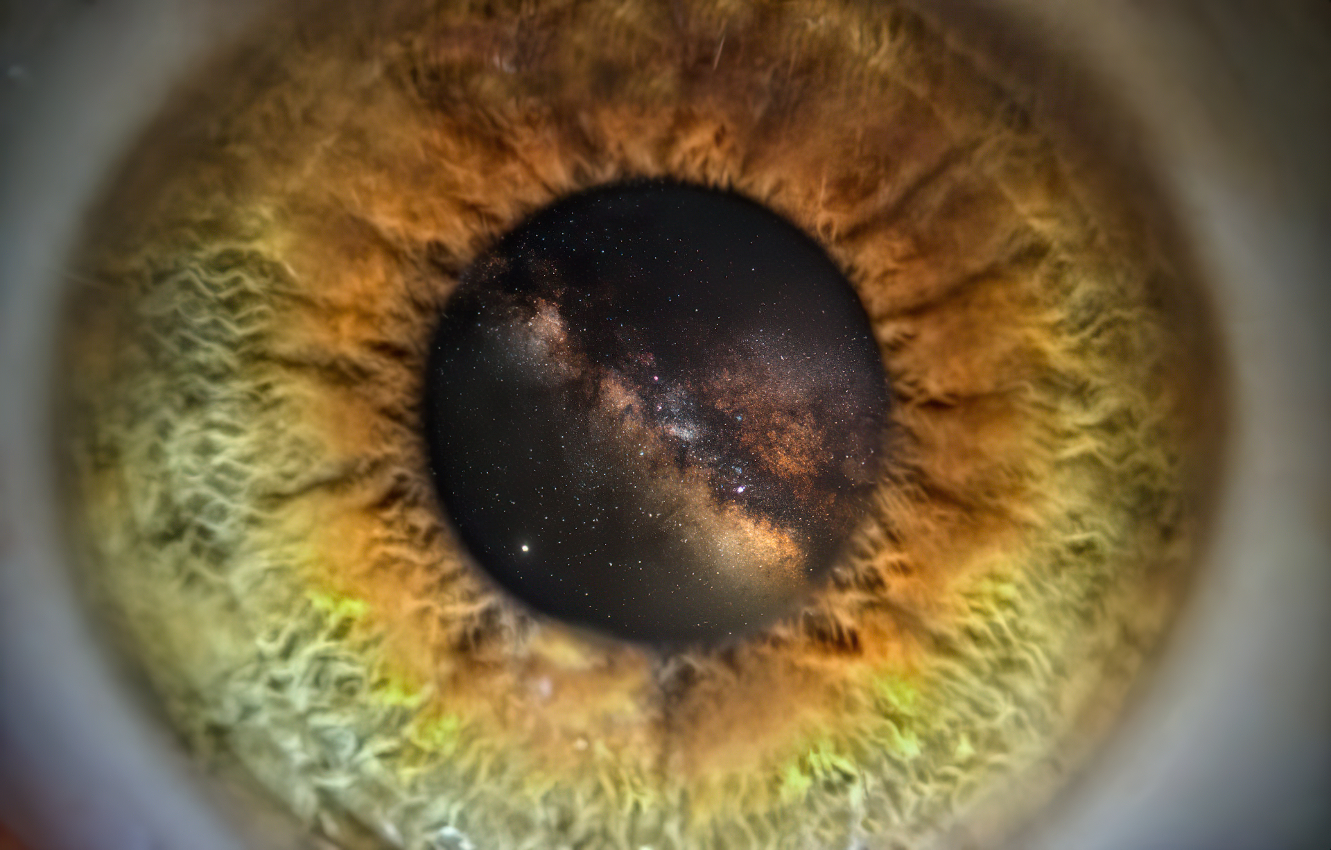 Guardando l'Infinito