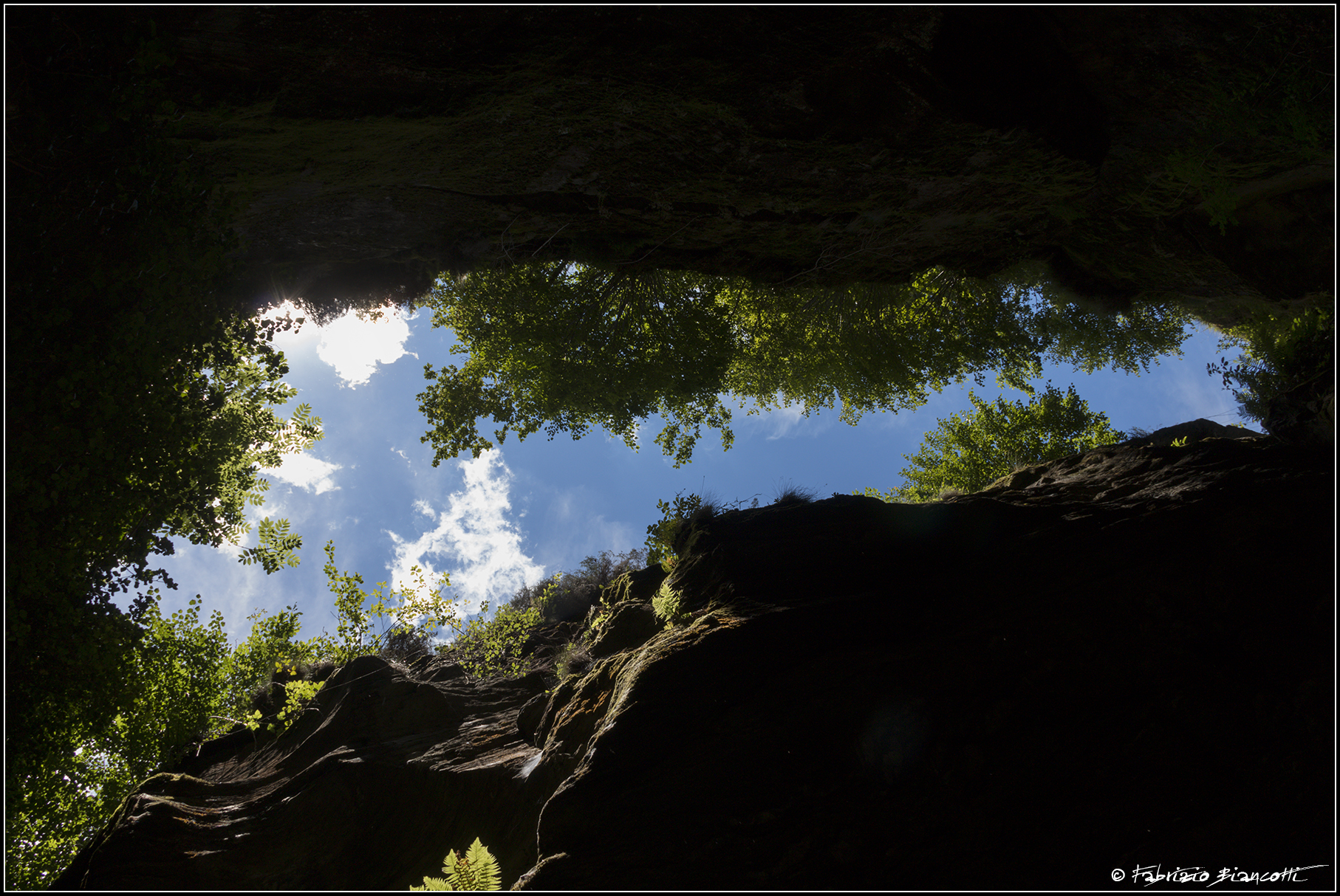 A glimmer of breath towards the sky