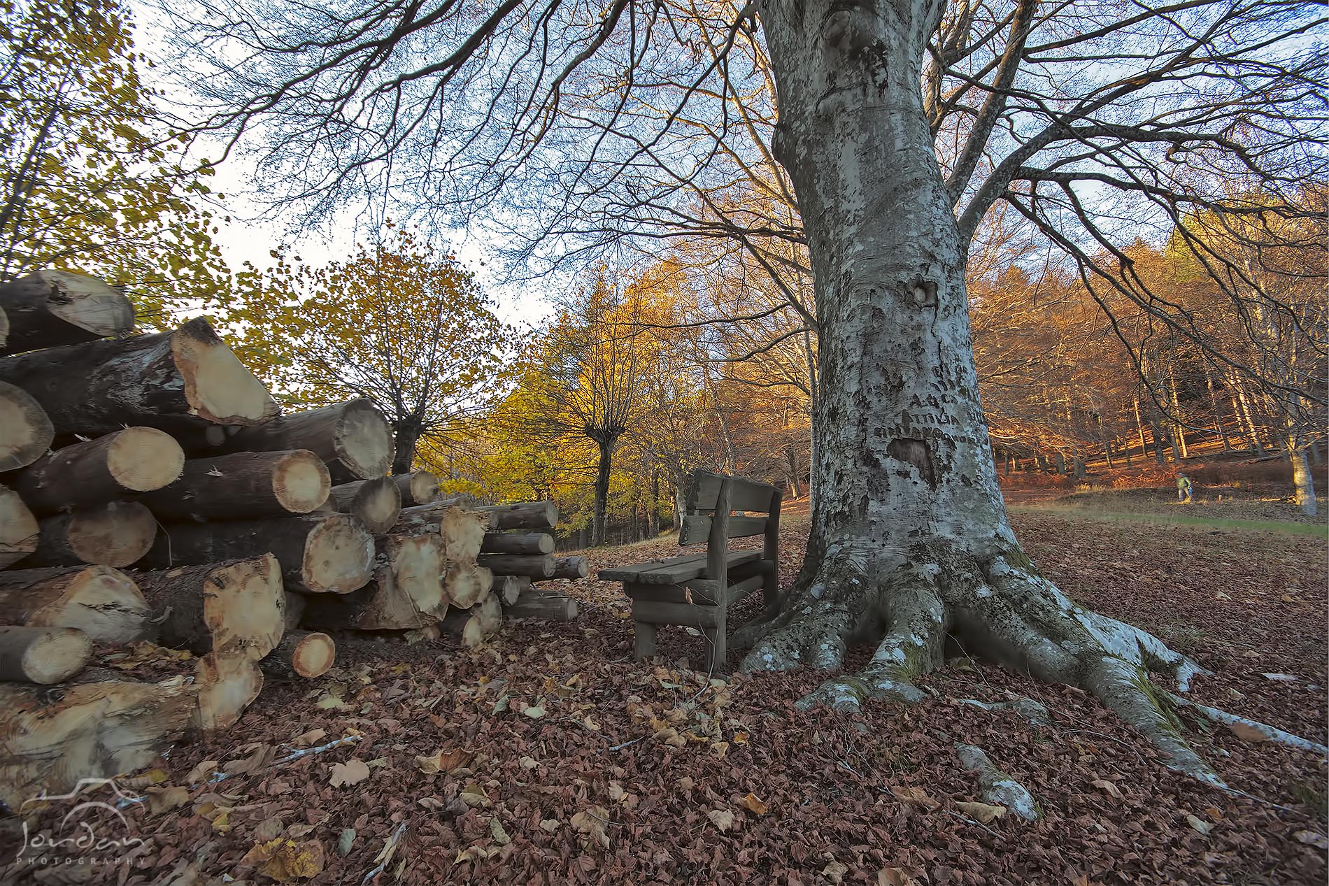 I colori dell'Autunno